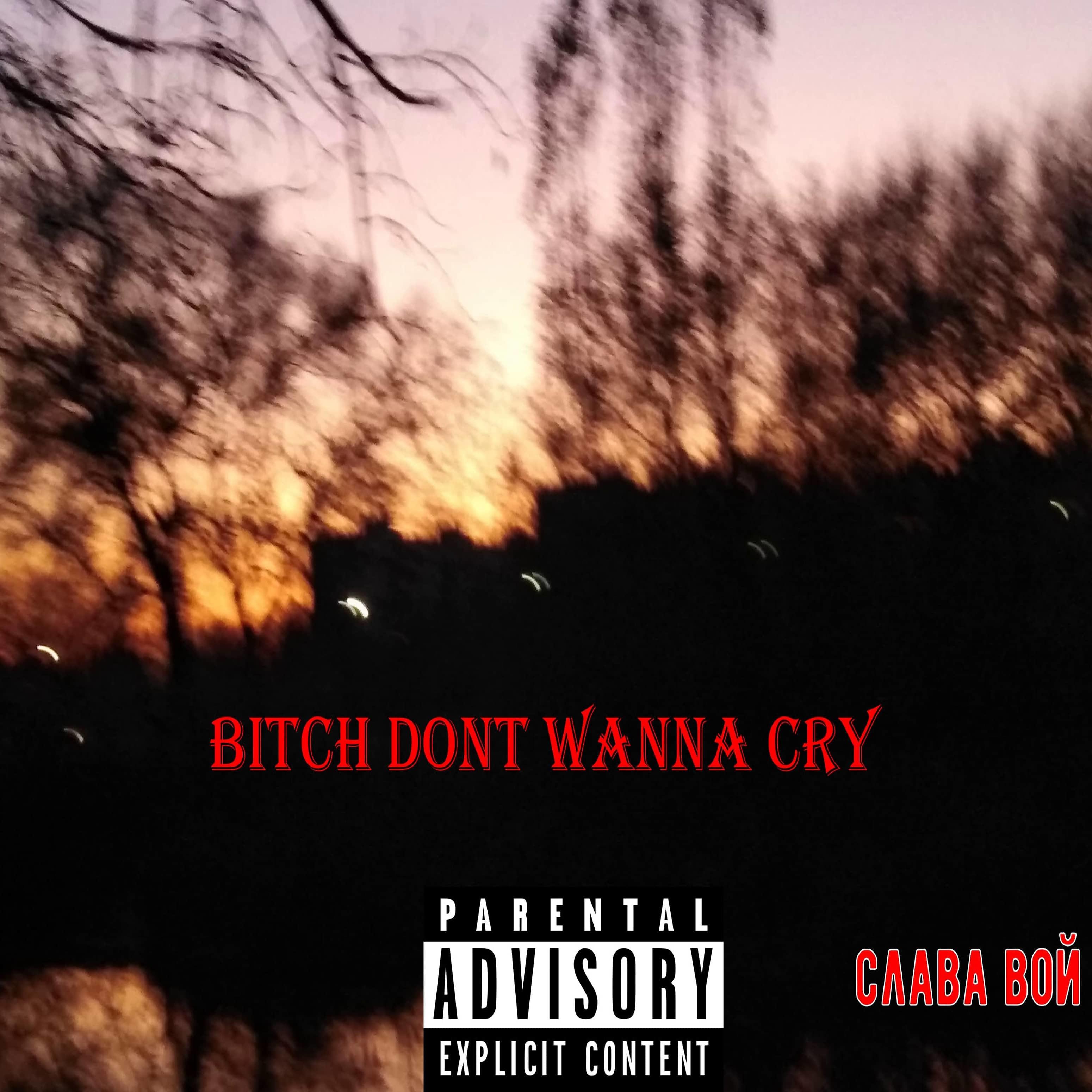 Постер альбома Bitch Dont Wanna Cry