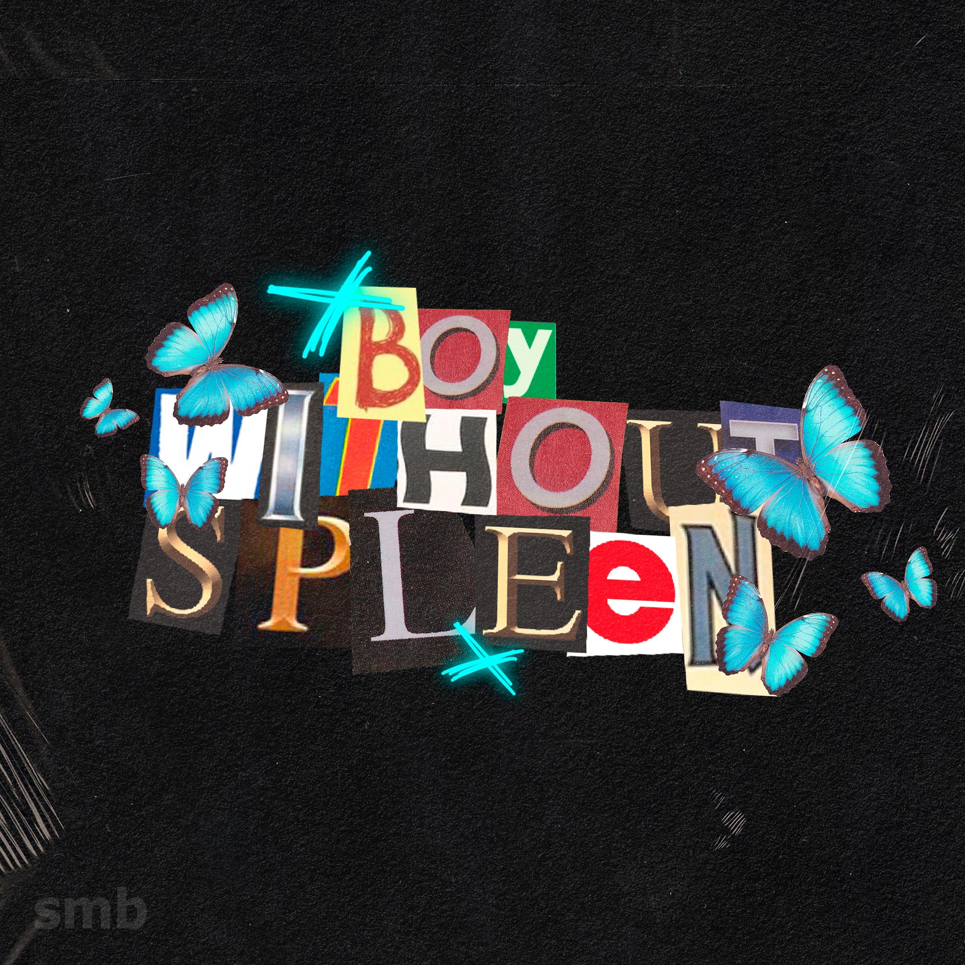 Постер альбома Boy Without Spleen