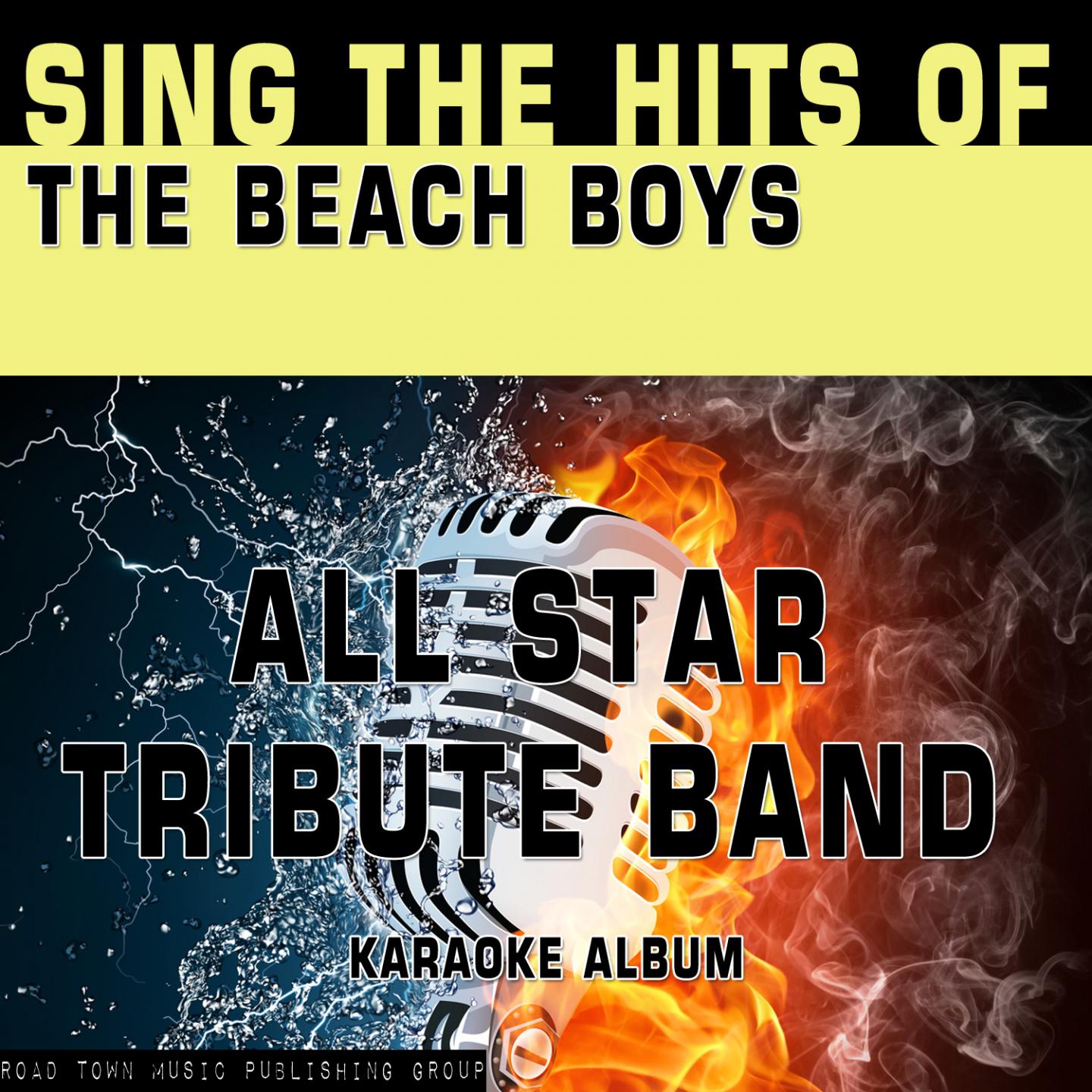 Постер альбома Sing the Hits of the Beach Boys