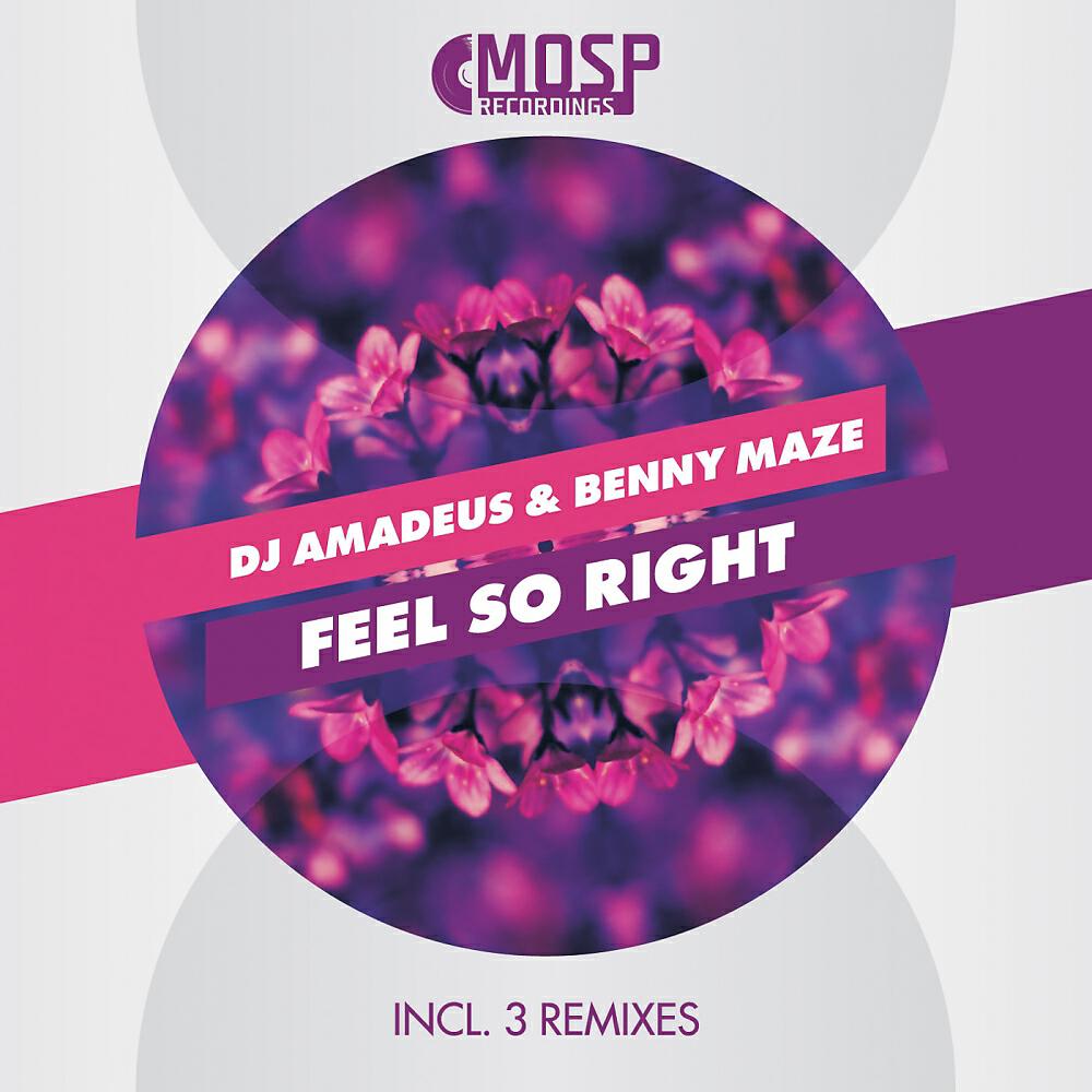 DJ Amadeus - Feel So Right (Michal Poliak Remix)