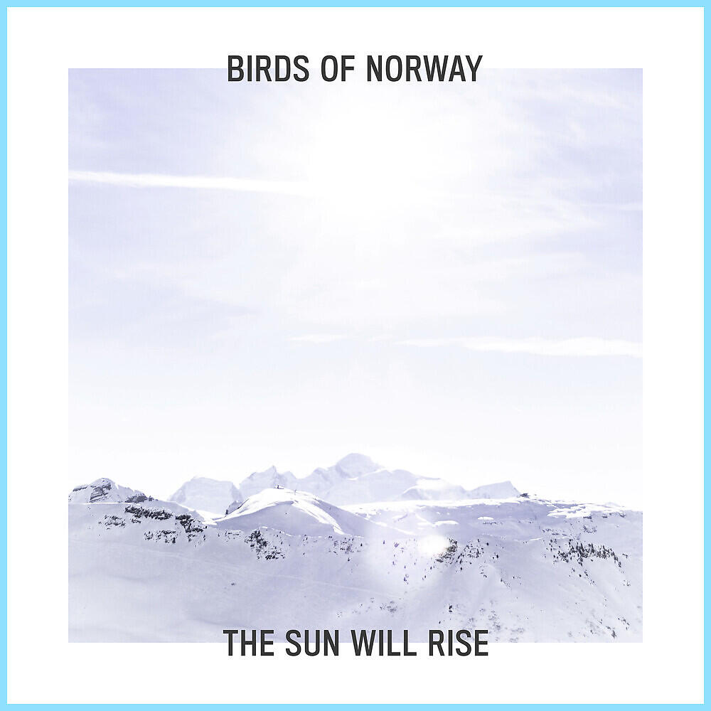 Birds of Norway - Reflection
