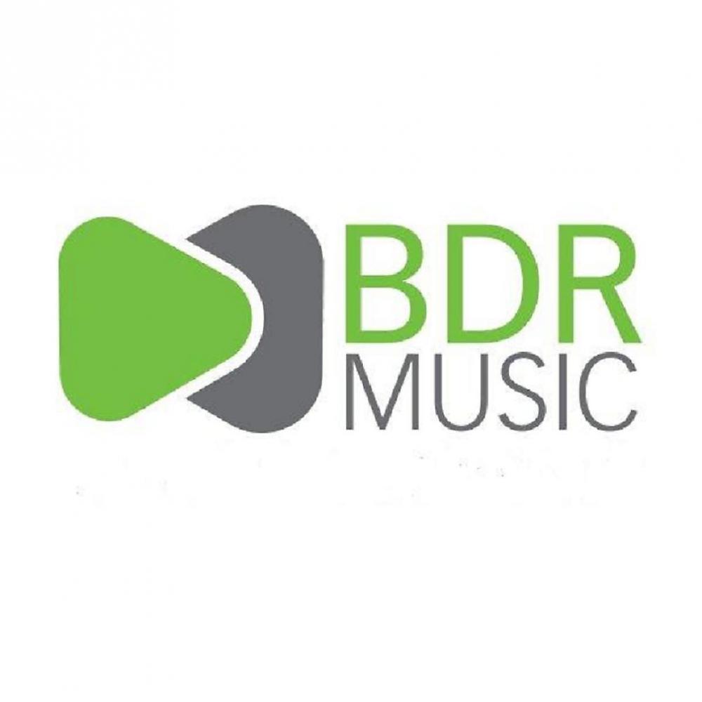 Постер альбома The Best of BDR Music 2010 Vol 2