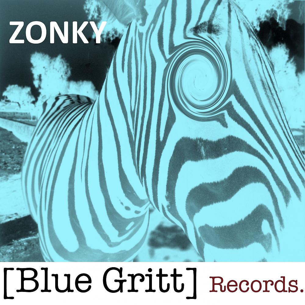 Постер альбома Zonky