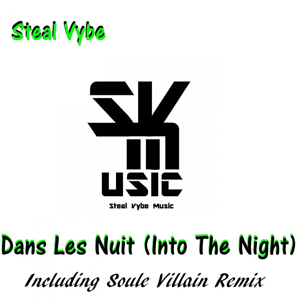 Steal VYbe - Dans Les Nuit (Into The Night) (Chris Forman?s Paris City Experience)