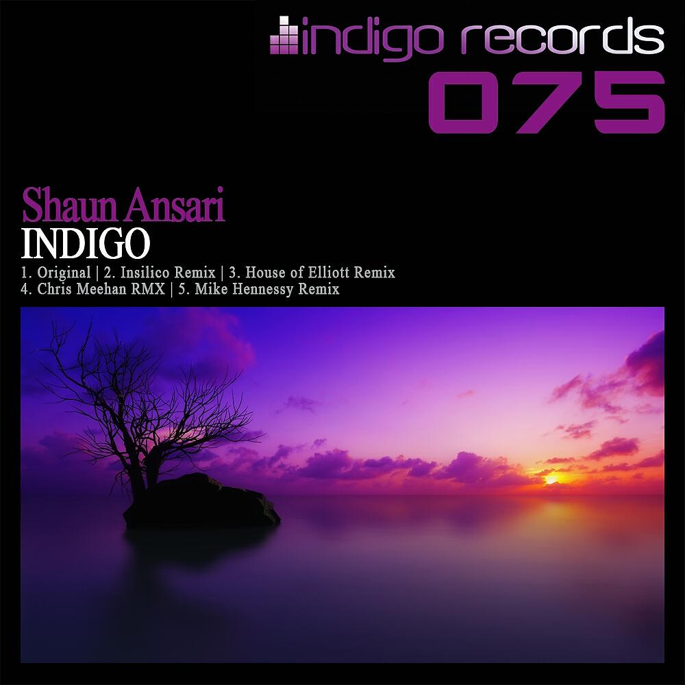 Shaun Ansari - Indigo (Mike Hennessy Remix)