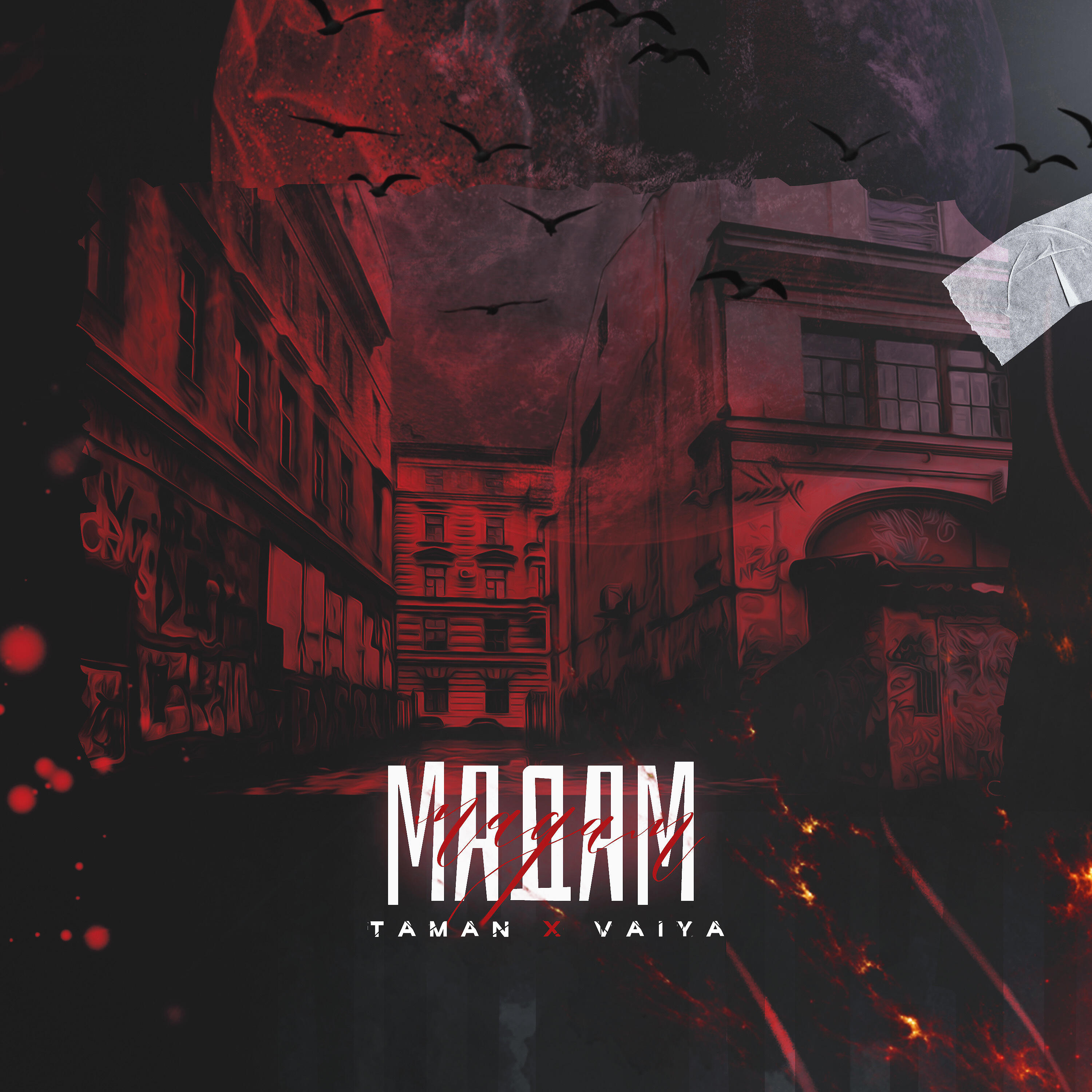 TAMAN - Мадам