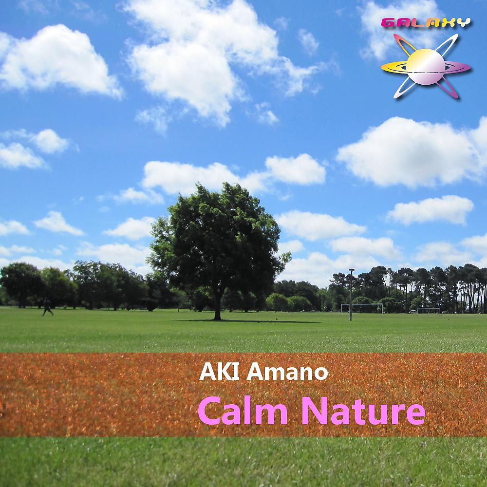 Постер альбома Calm Nature