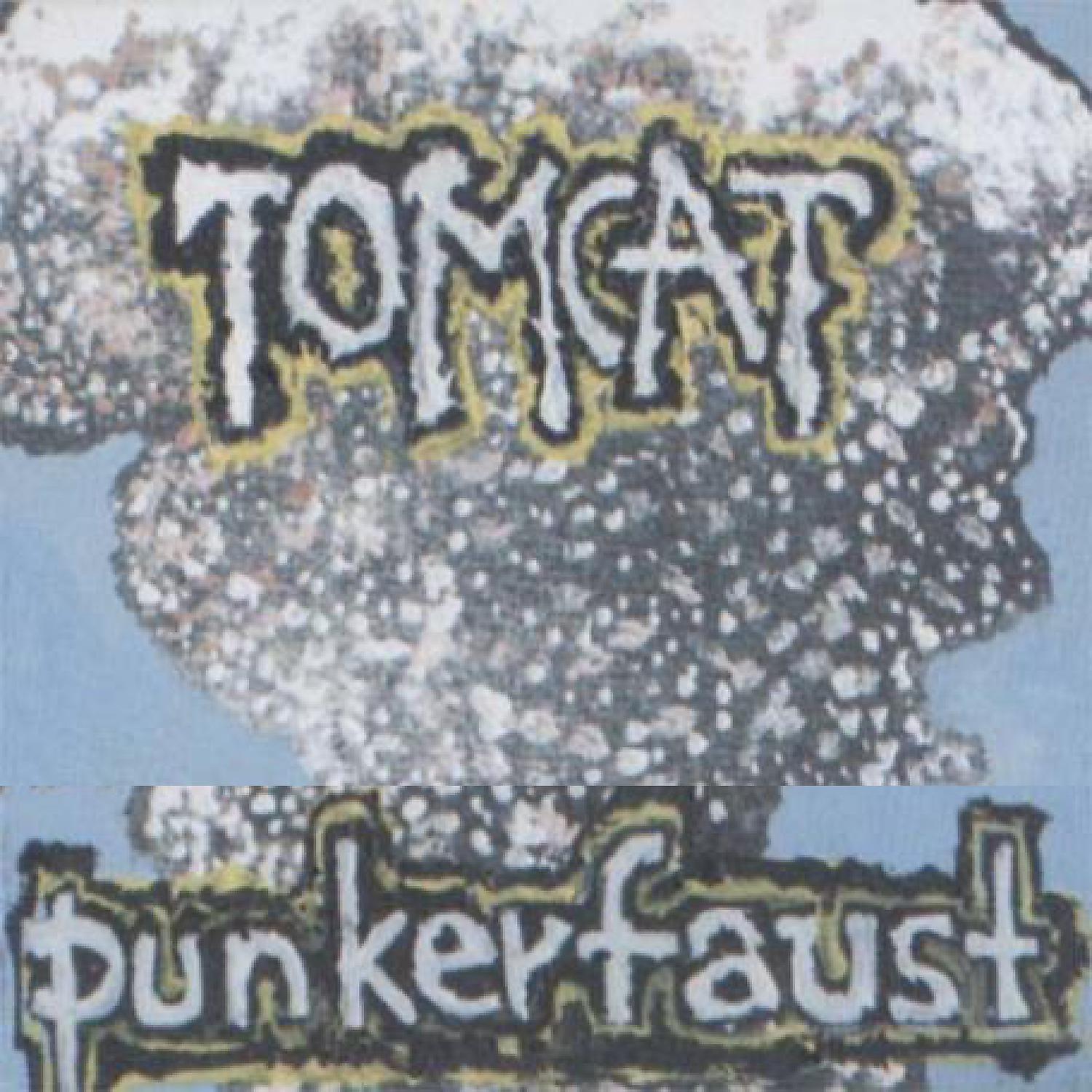 Постер альбома Punkerfaust