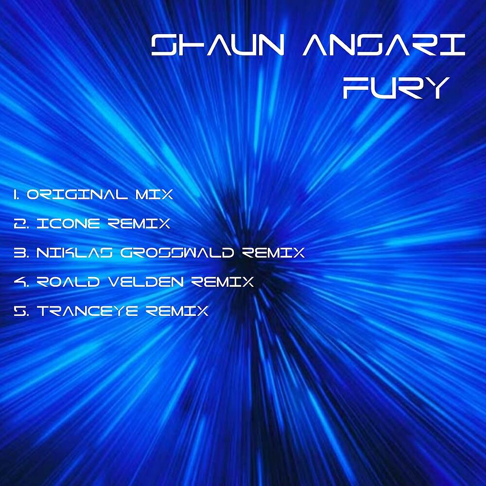 Shaun Ansari - Fury (Niklas Grosswald Remix)