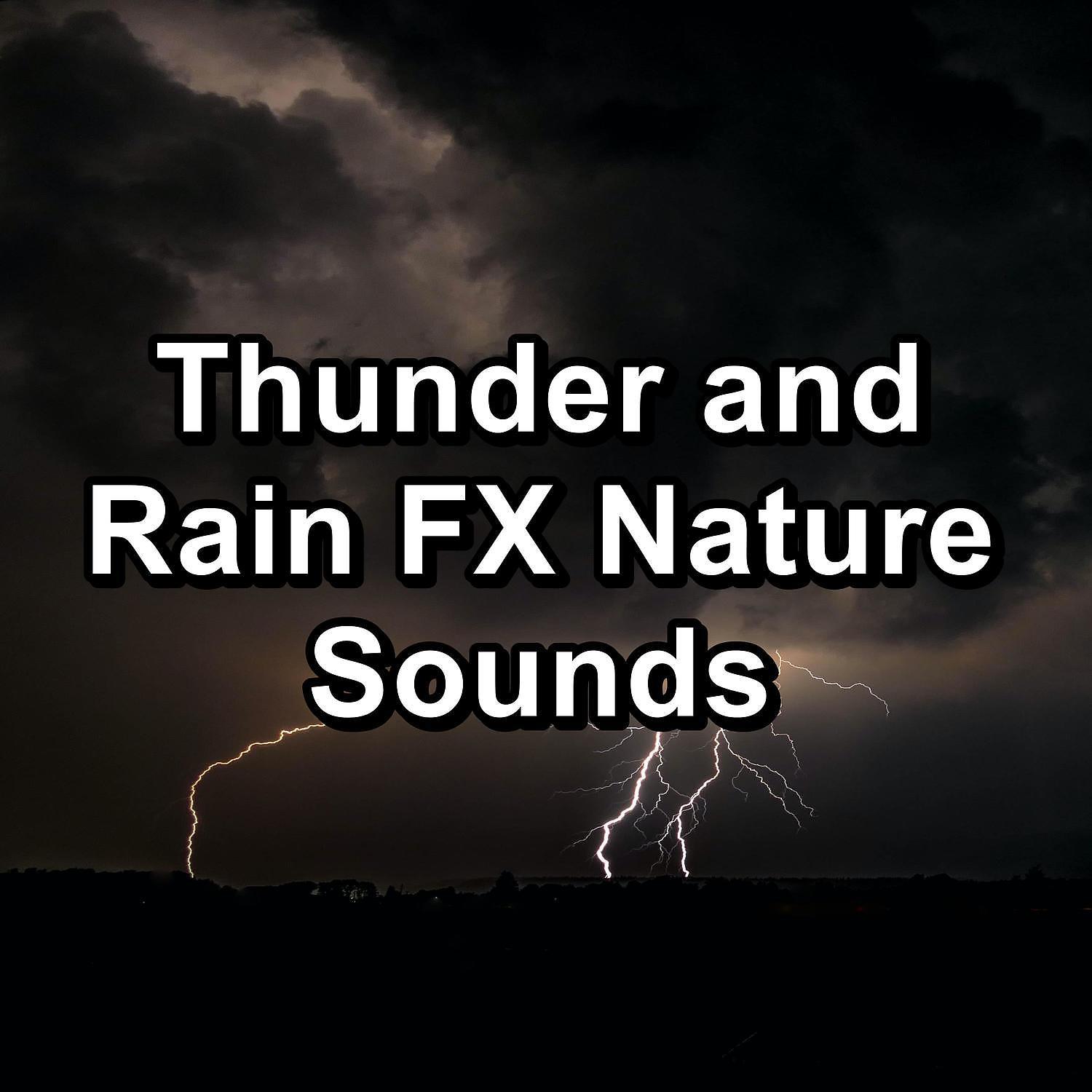 Постер альбома Thunder and Rain FX Nature Sounds