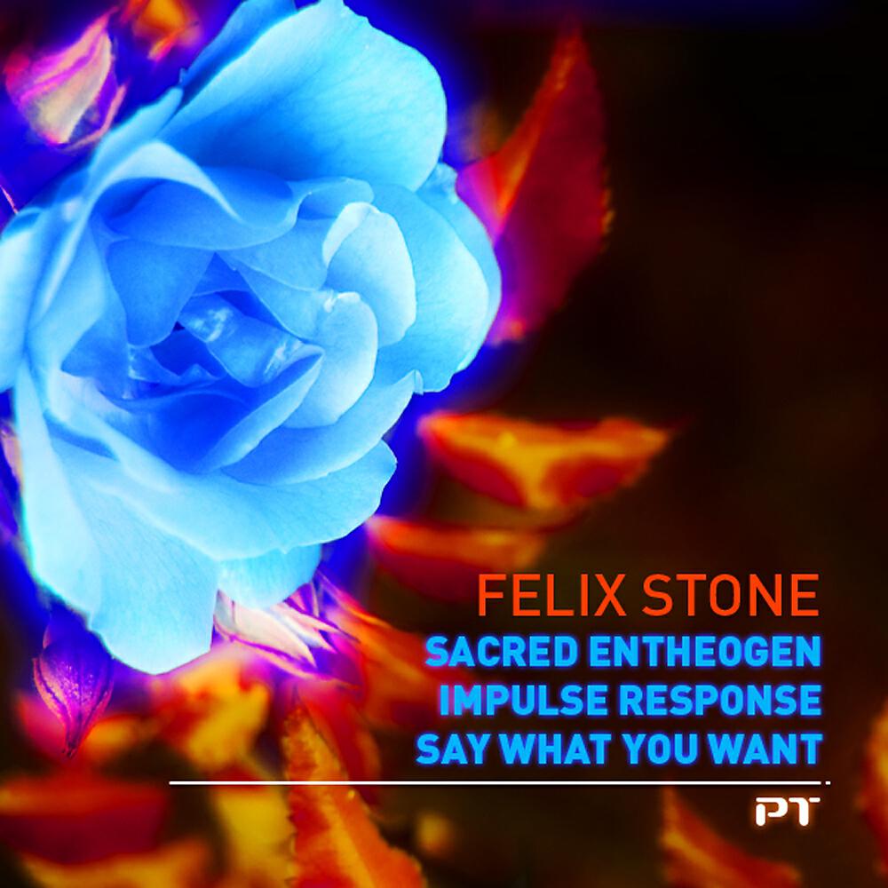 Felix Stone - Say What You Want (Federico Giust Remix)
