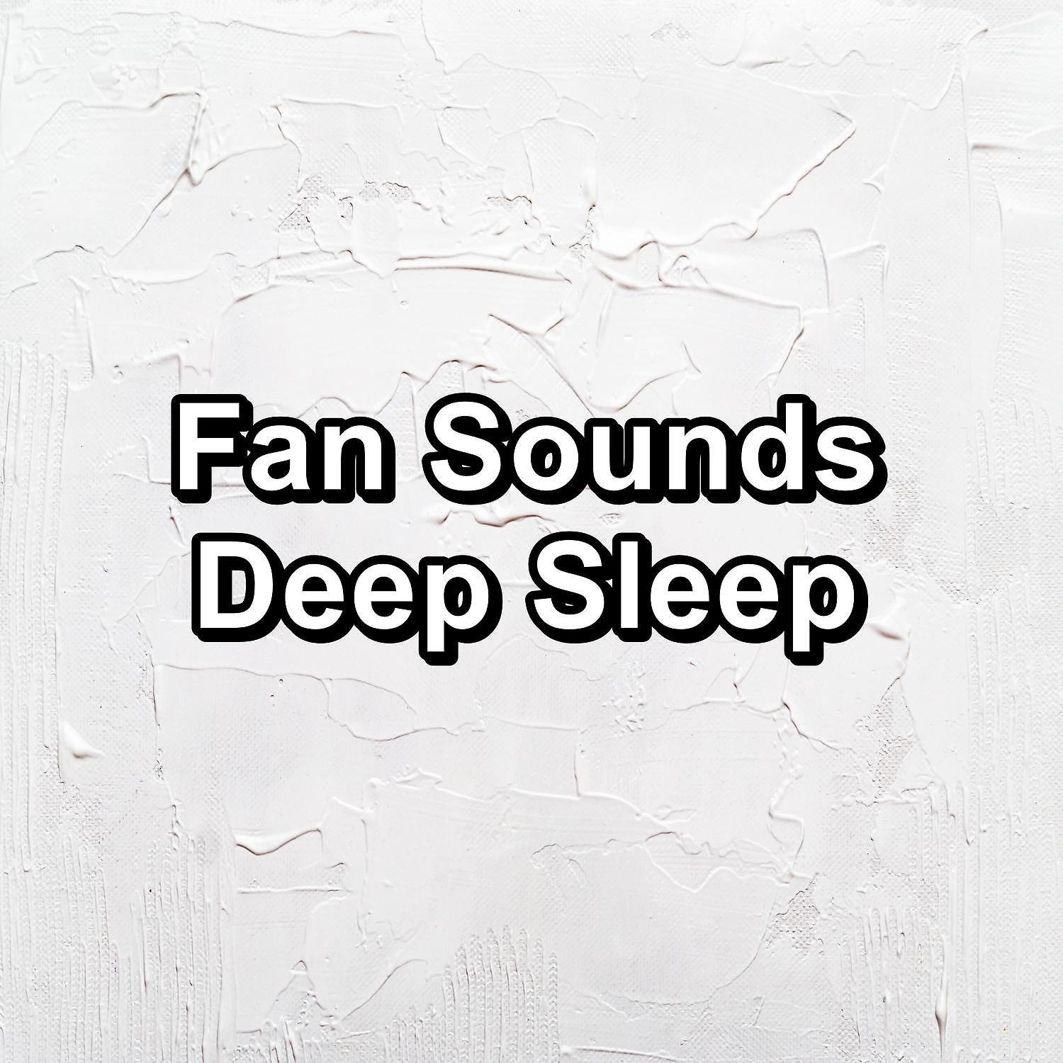 Постер альбома Fan Sounds Deep Sleep