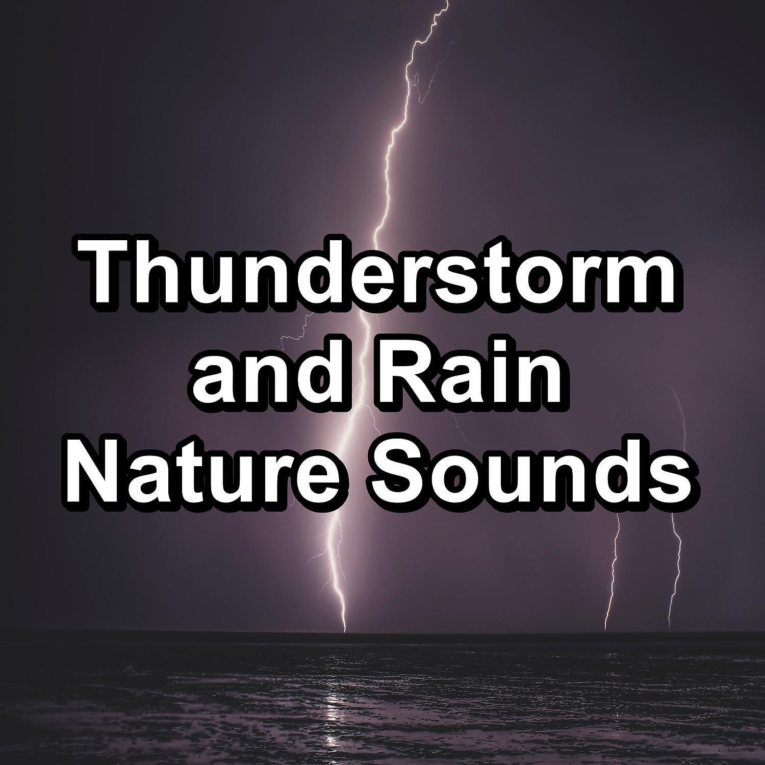 ASMR - Soothing Rain and Nature Sounds Calm Instrumental Sounds