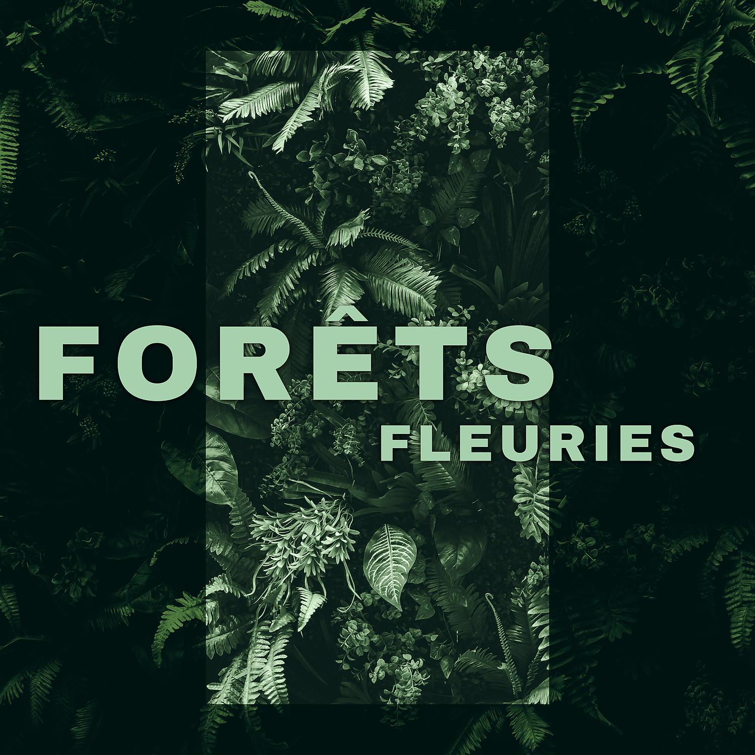 Постер альбома Forêts fleuries: Sons de ruisseaux, Chant d'oiseaux, Pluie printanière