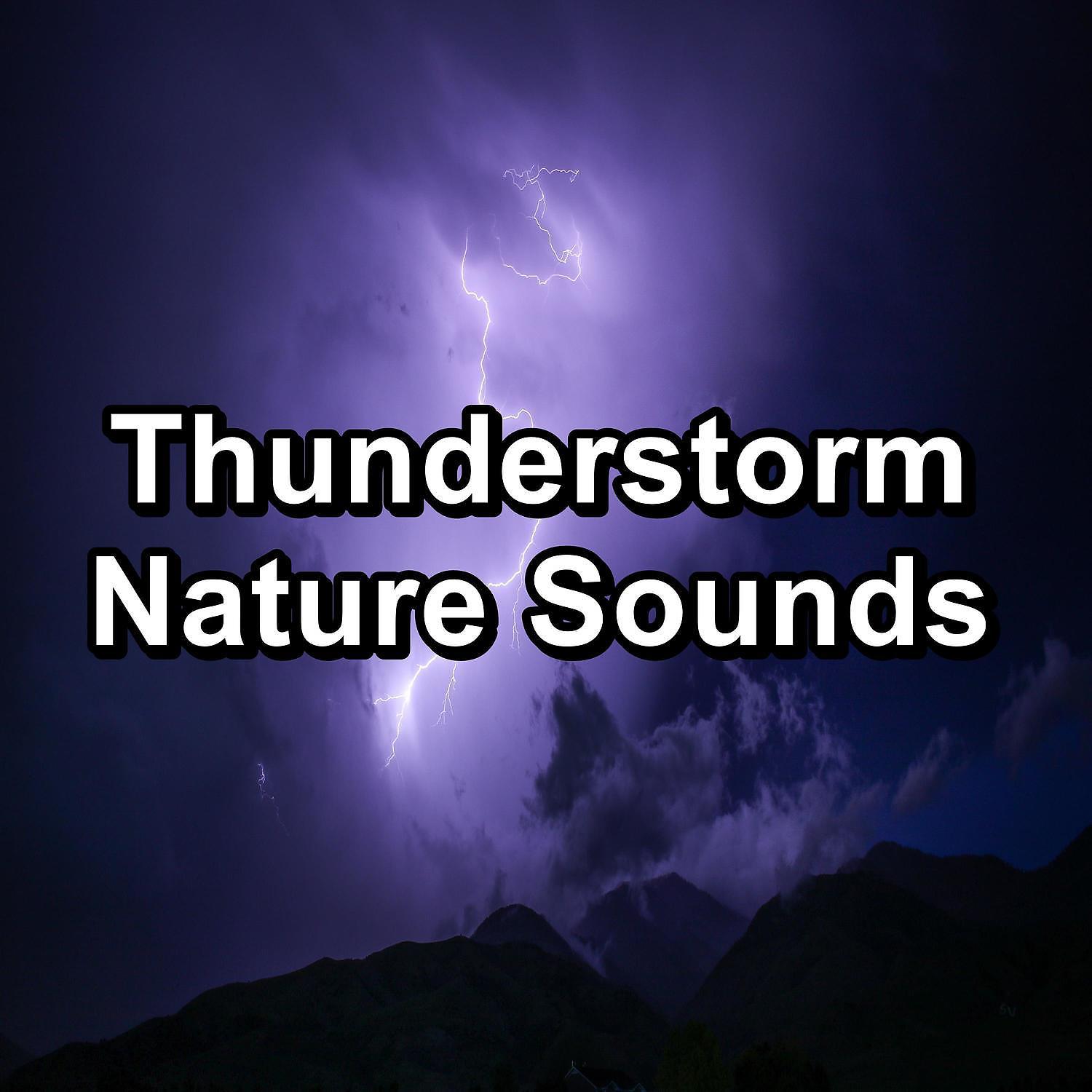 Постер альбома Thunderstorm Nature Sounds