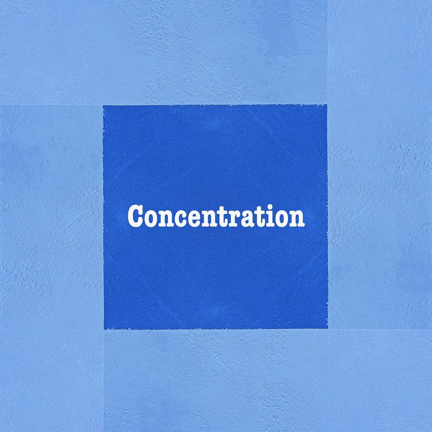 Постер альбома Concentration