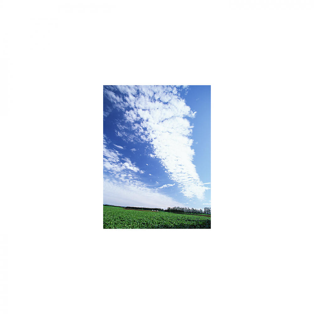 Mindfulness Healing BGM Project - Effect and Hearing (Sleep Mix)