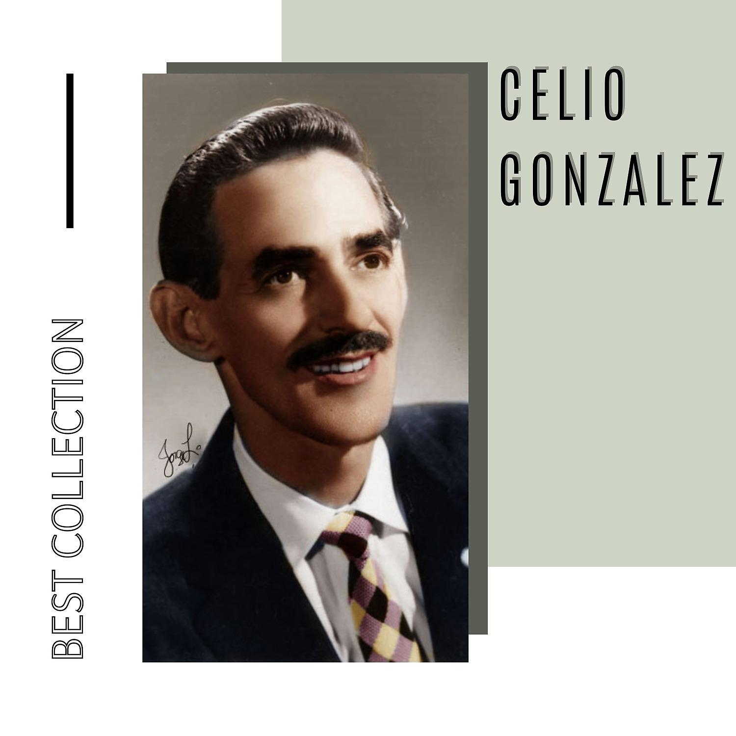 Постер альбома Best Collection Celio Gonzalez