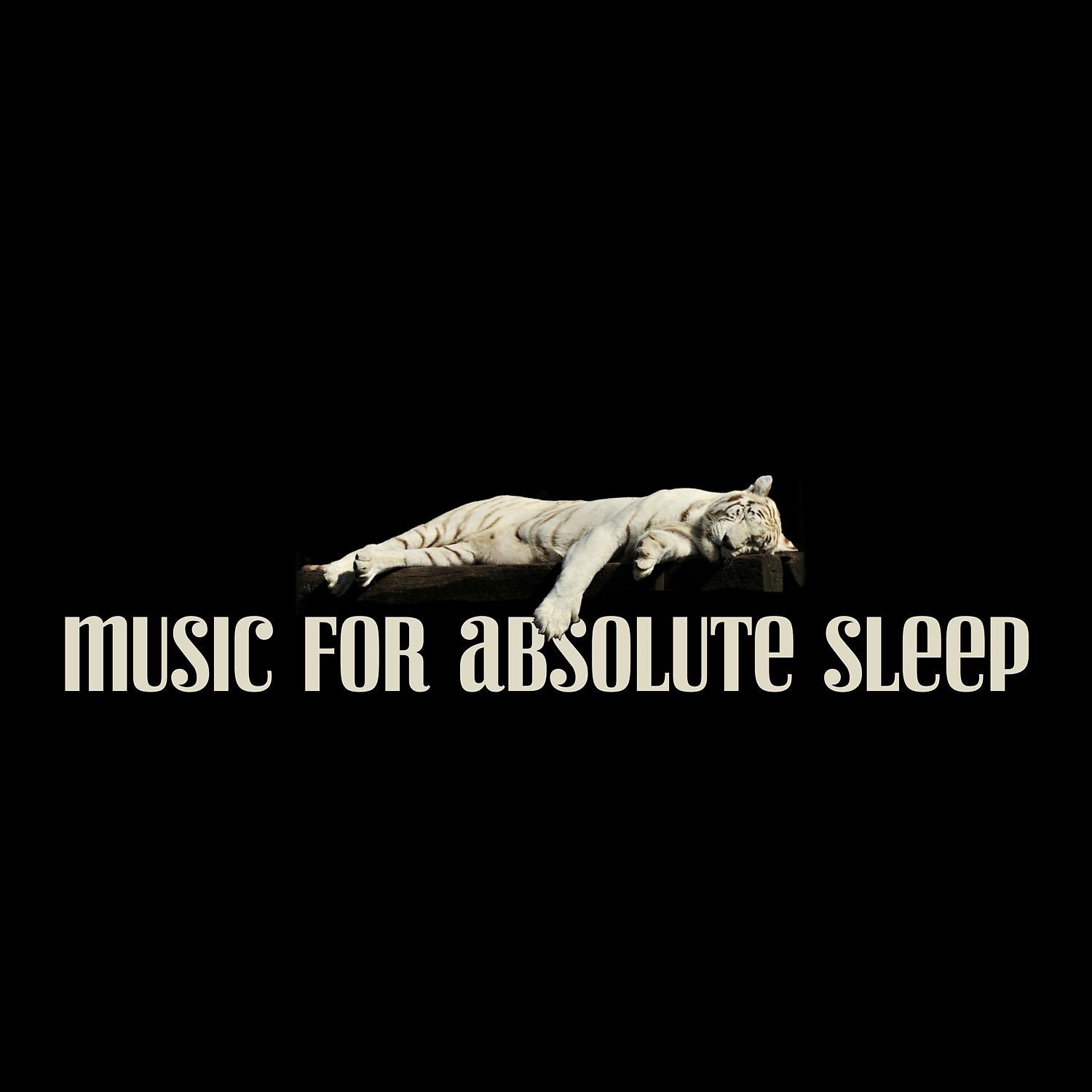 Постер альбома Music for Absolute Sleep