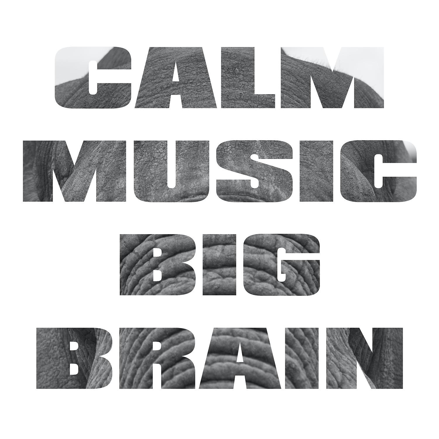 Постер альбома Calm Music Big Brain
