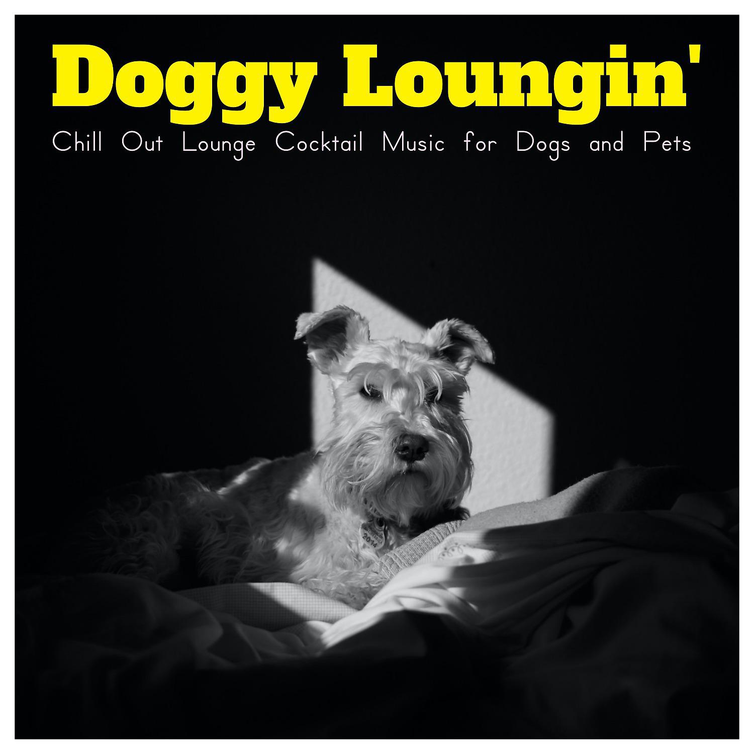 Постер альбома Doggy Loungin' (Chill Out Lounge Cocktail Music for Dogs and Pets)
