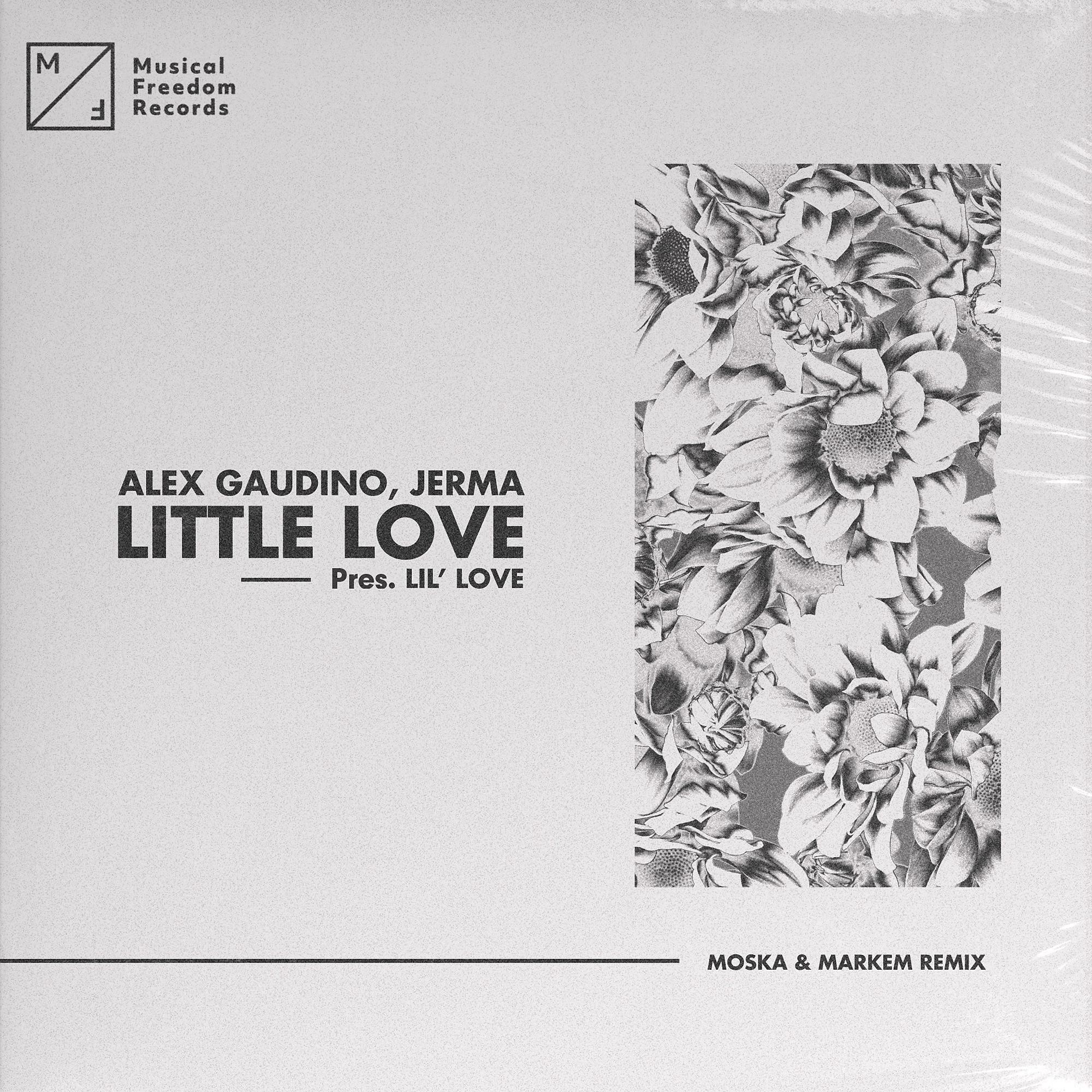 Постер альбома Little Love (pres. Lil' Love) [MOSKA & Markem Remix]