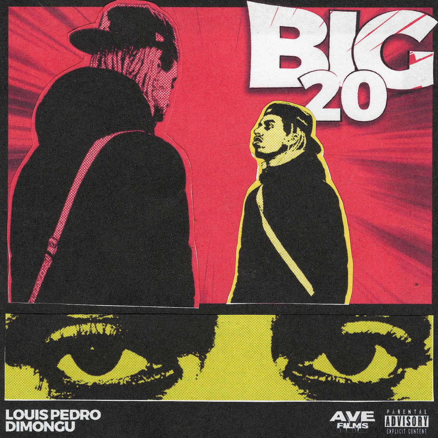 Постер альбома Big 20