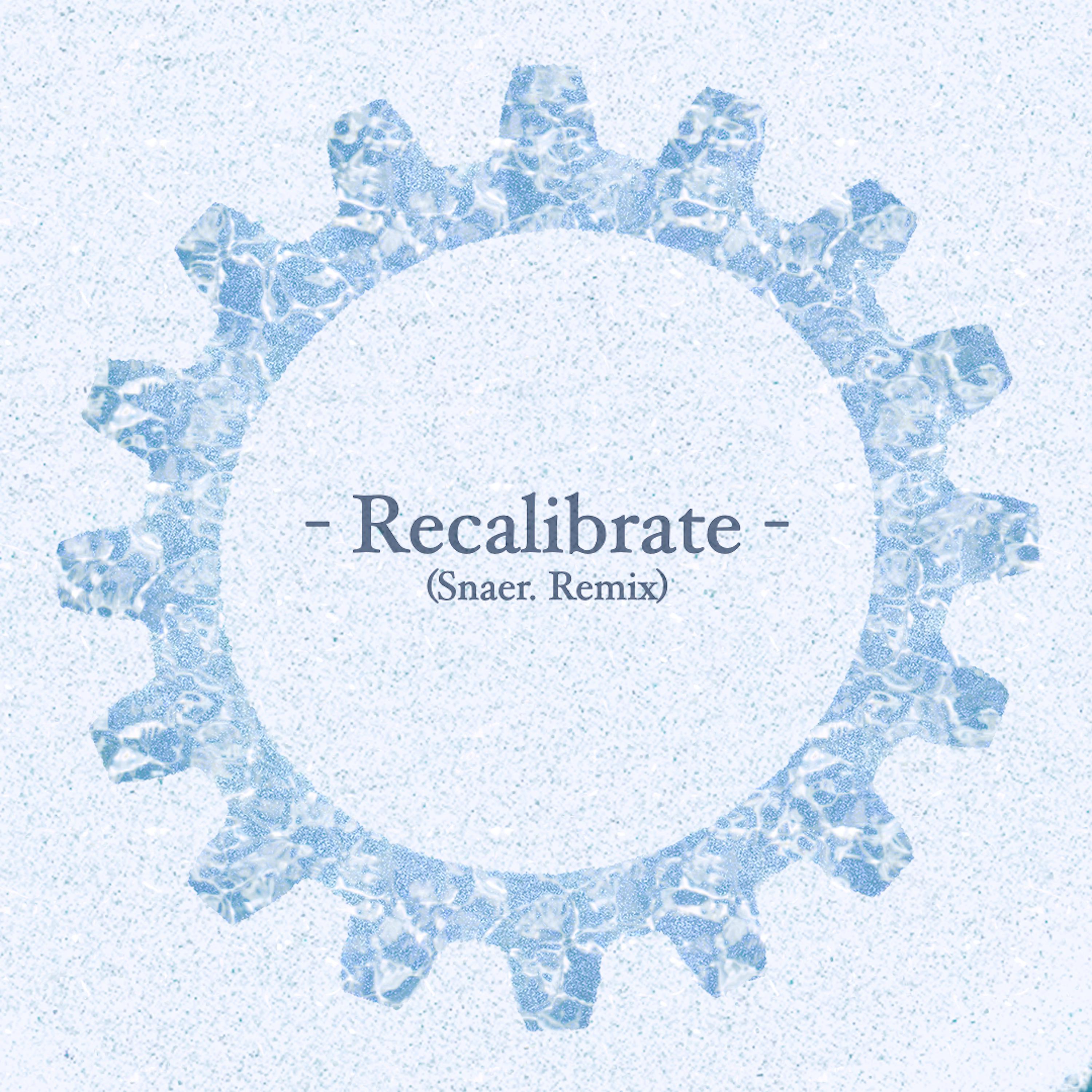 Постер альбома Recalibrate (Snaer. Remix)