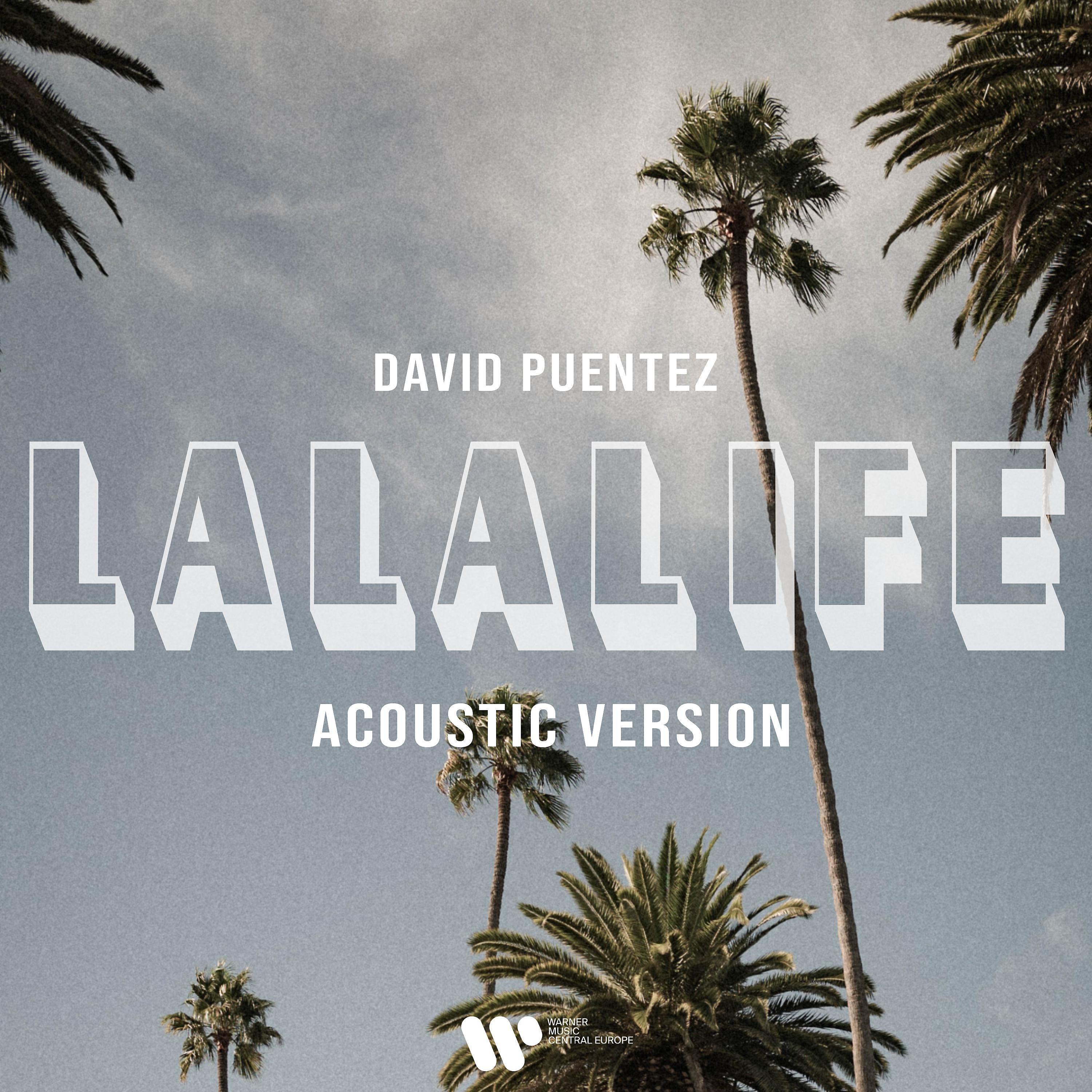 Постер альбома LaLaLife (Acoustic Version)