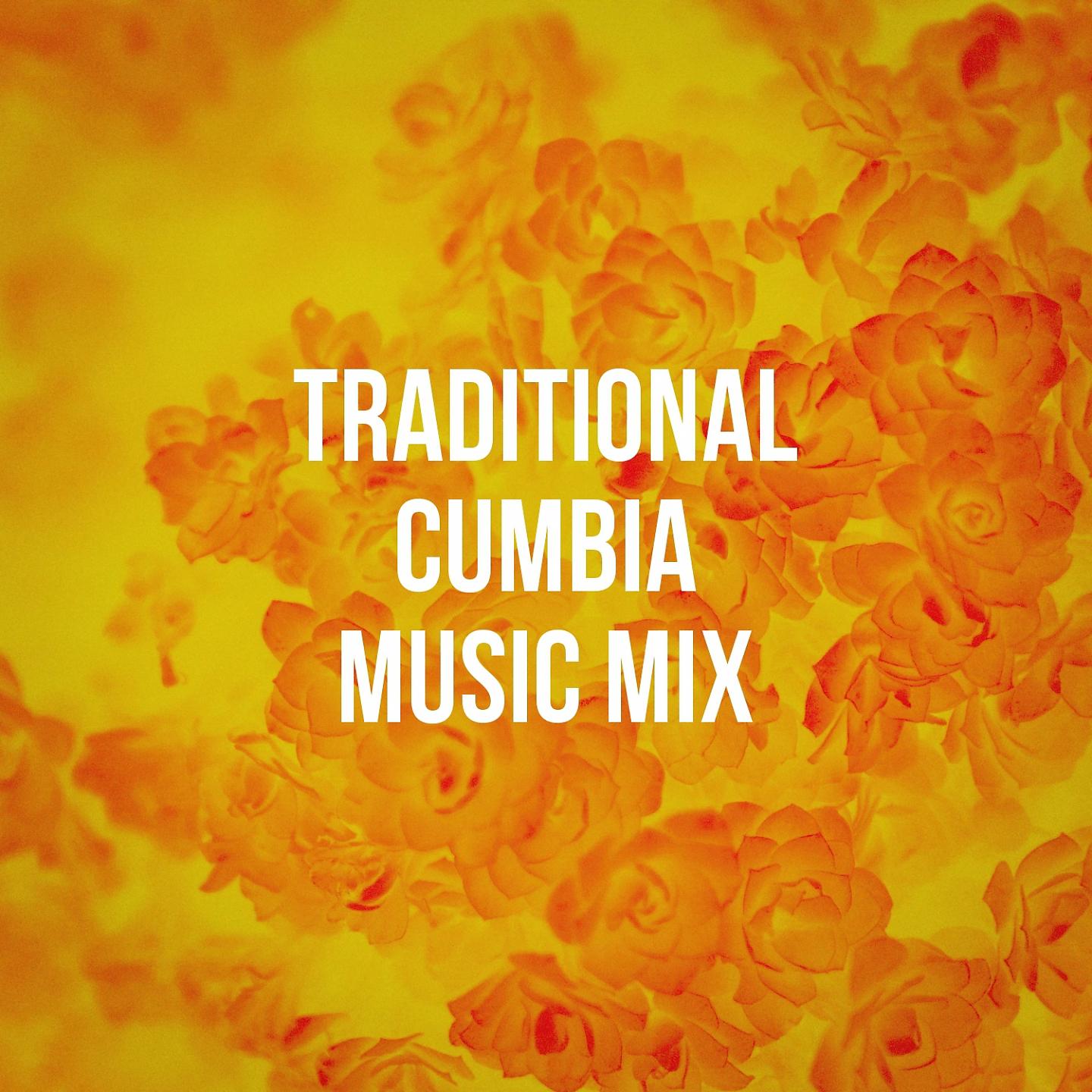 Постер альбома Traditional Cumbia Music Mix