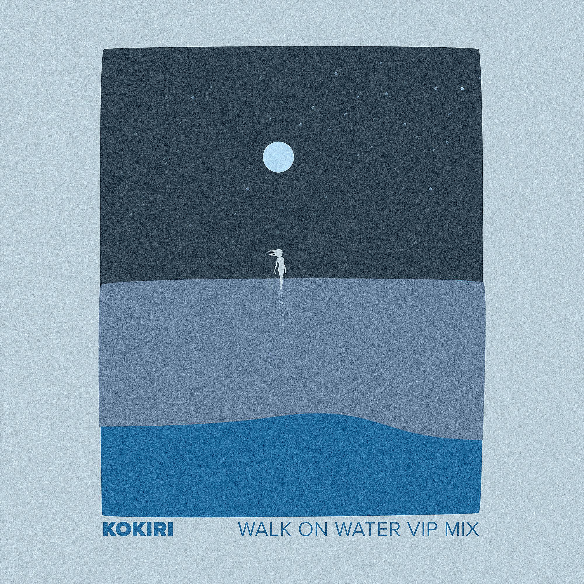 Постер альбома Walk On Water (VIP Mix)