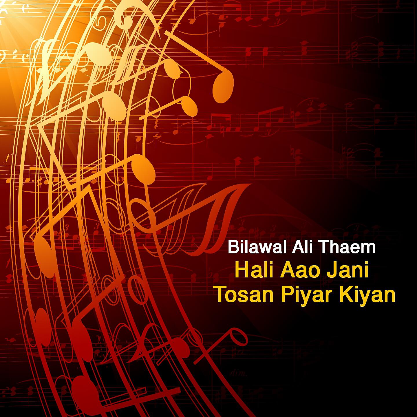 Bilawal Ali Thaem - To Bina Je B Chha Kabo
