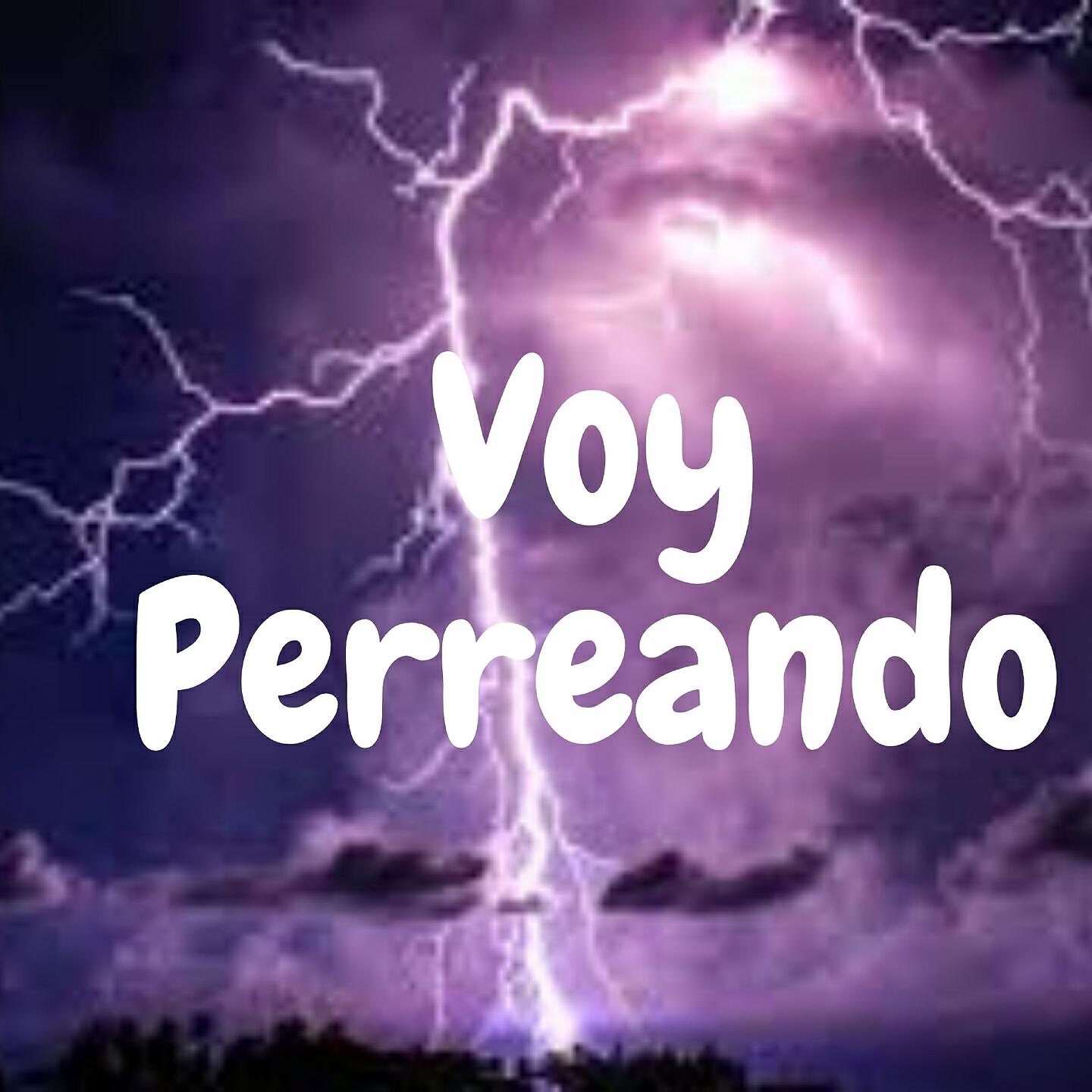 Dj Mix Perreo - Voy Perreando