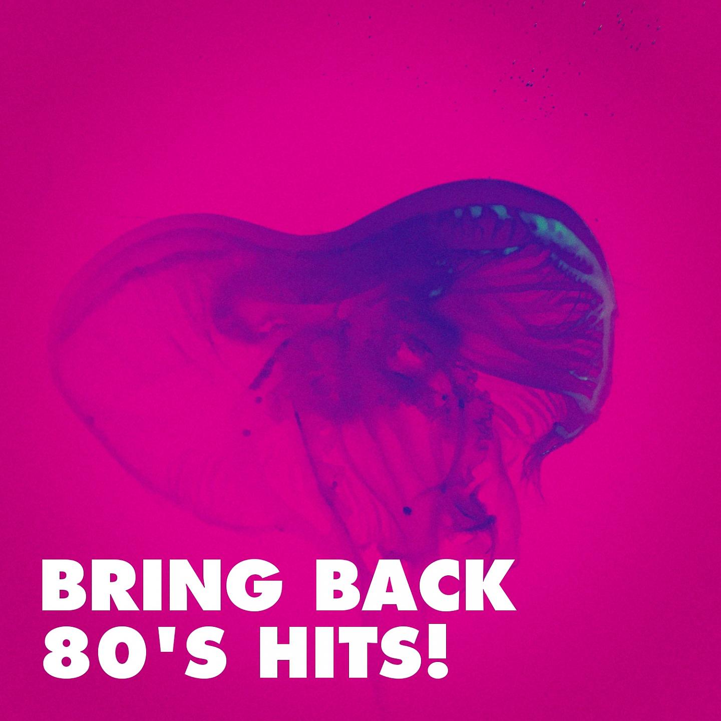 Постер альбома Bring Back 80's Hits!