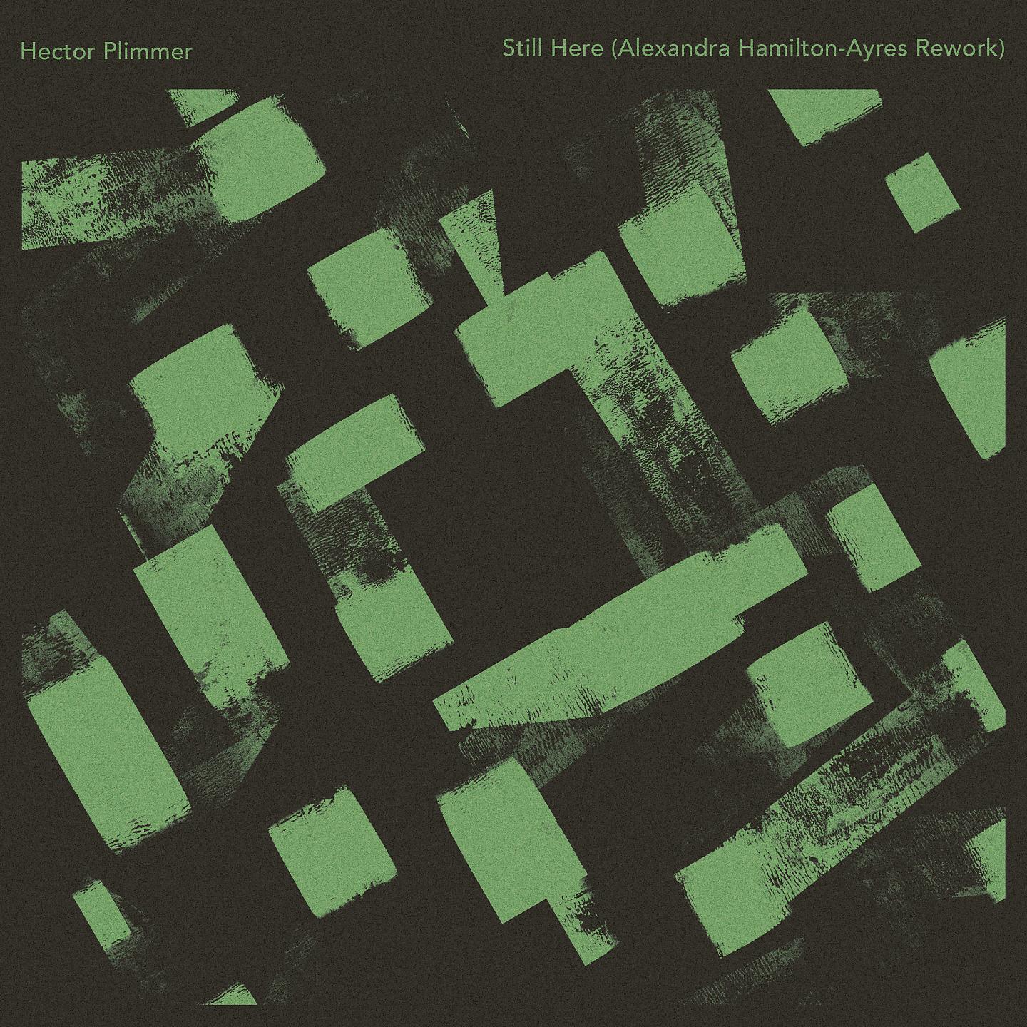 Hector Plimmer - Still Here (Alexandra Hamilton-Ayres Rework)