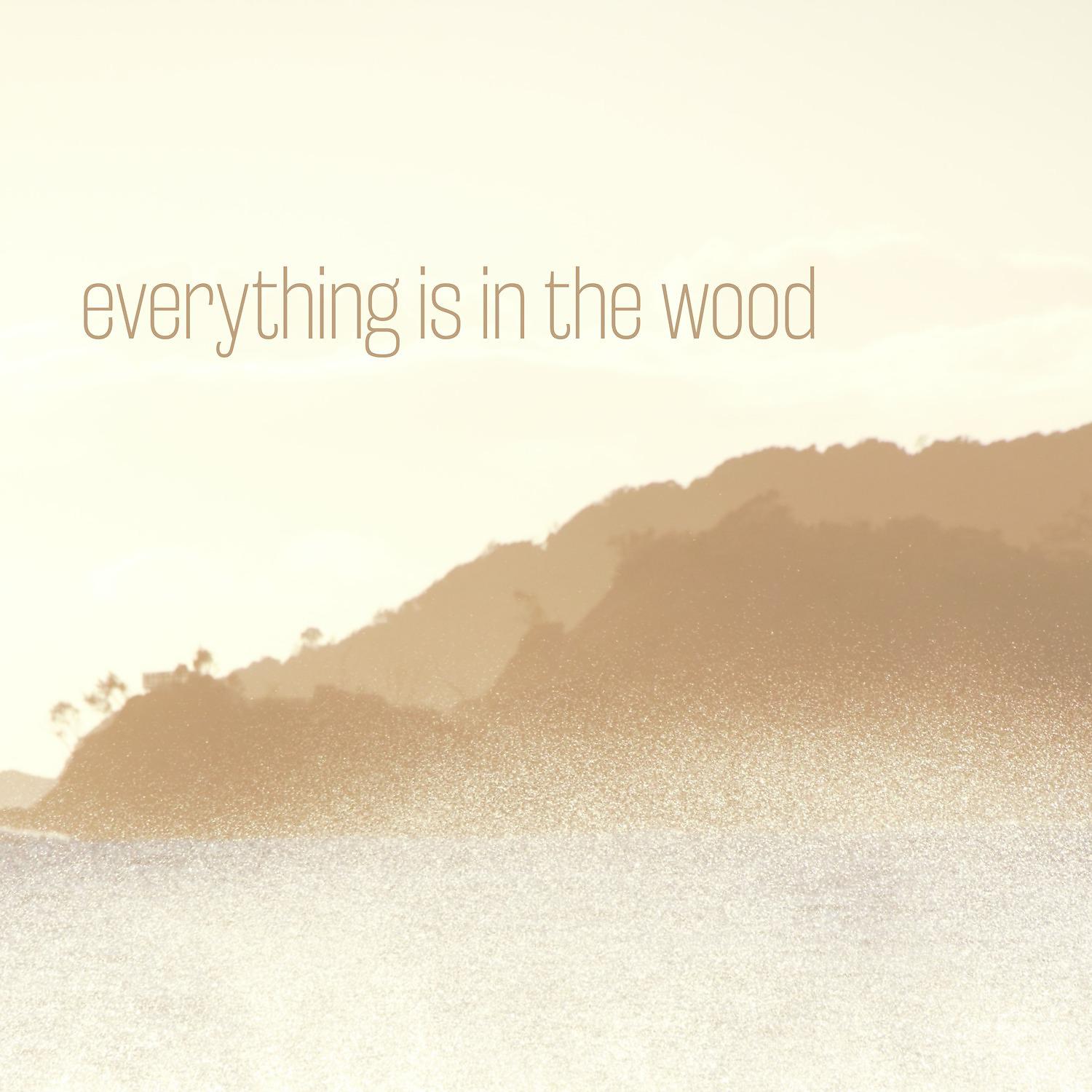 Постер альбома Everything Is in the Wood