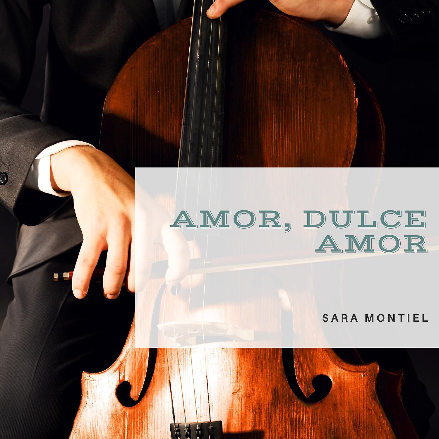 Постер альбома Amor, Dulce Amor