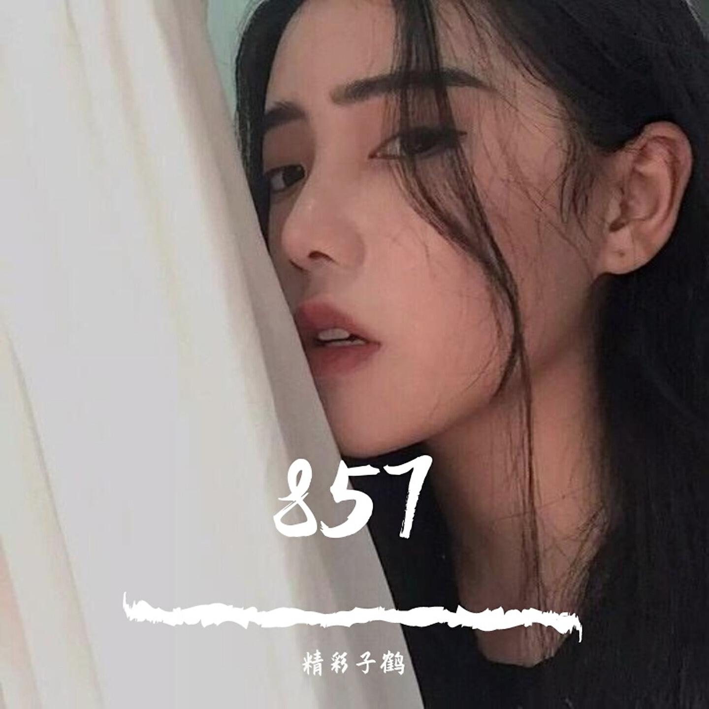 精彩子鹤 - Can We Kiss Forever（DJ版）