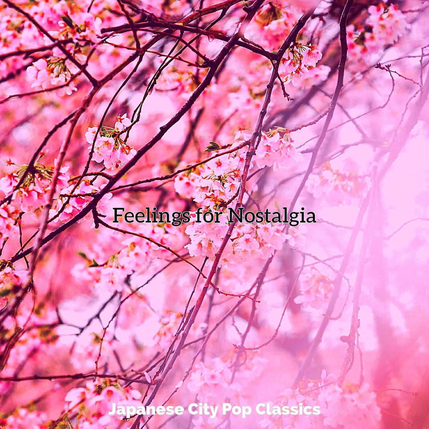 Japanese City Pop Classics - Bedroom Pop Soundtrack for Nostalgia