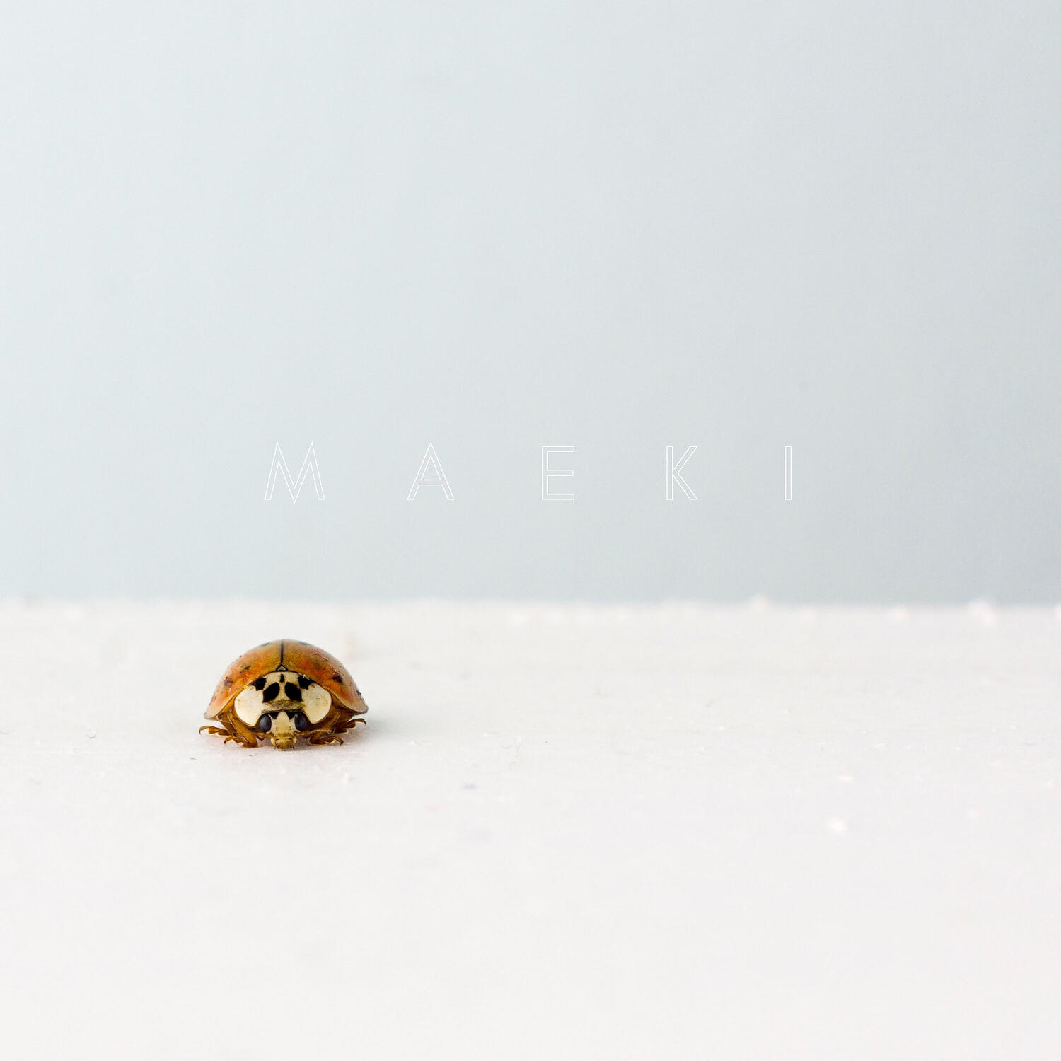 Maeki - Beneficial Insect (feat. Lehto)
