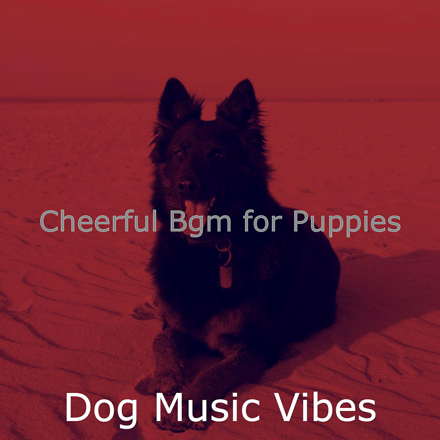 Dog Music Vibes - Piano Jazz Soundtrack for Cute Dogs