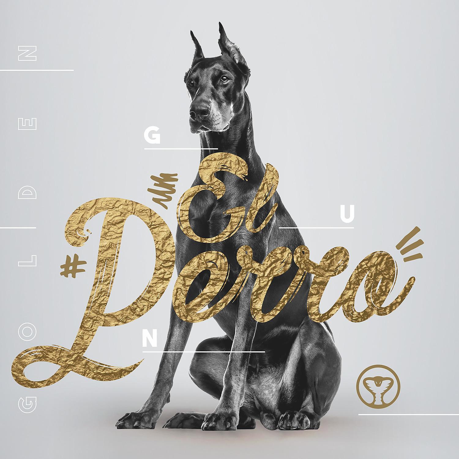 Постер альбома El Perro
