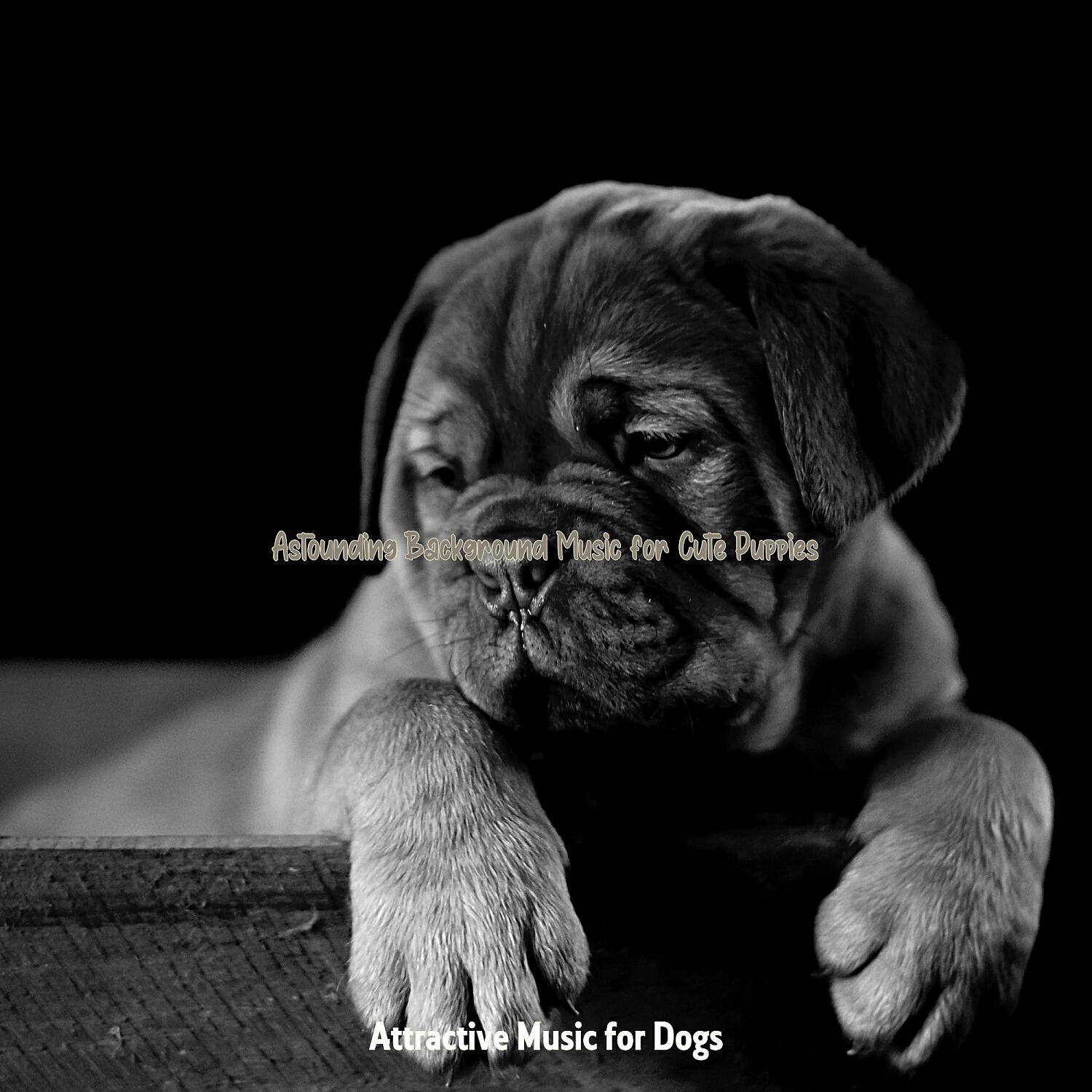 Attractive Music for Dogs - Trio Jazz Soundtrack for Sleeping Dogs