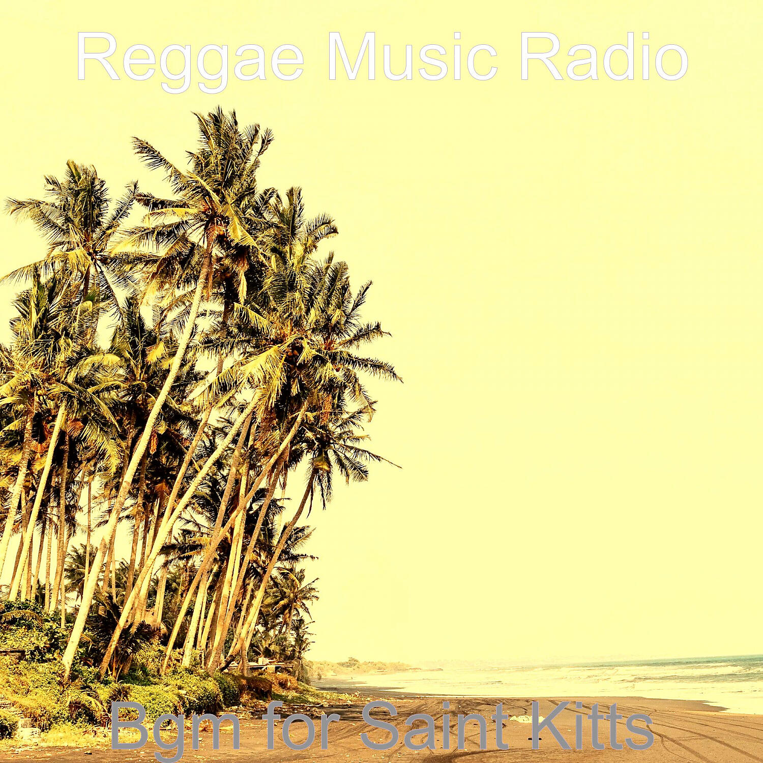 Reggae Music Radio - Magnificent West Indian Steel Drum Music - Vibe for Barbados