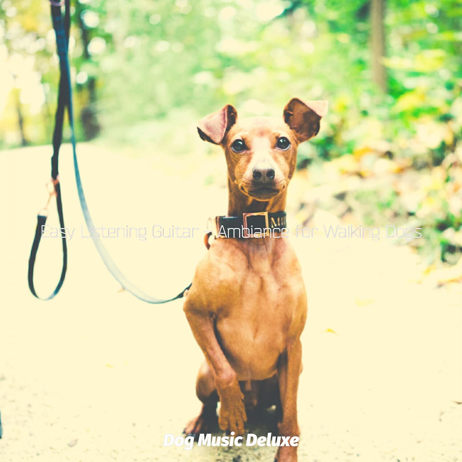 Dog Music Deluxe - Easy Listening Acoustic Guitar Soundtrack for Lonely Dogs