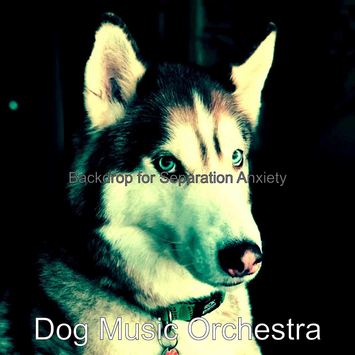 Dog Music Orchestra - Marvellous Solo Piano Jazz - Vibe for Doggy Training