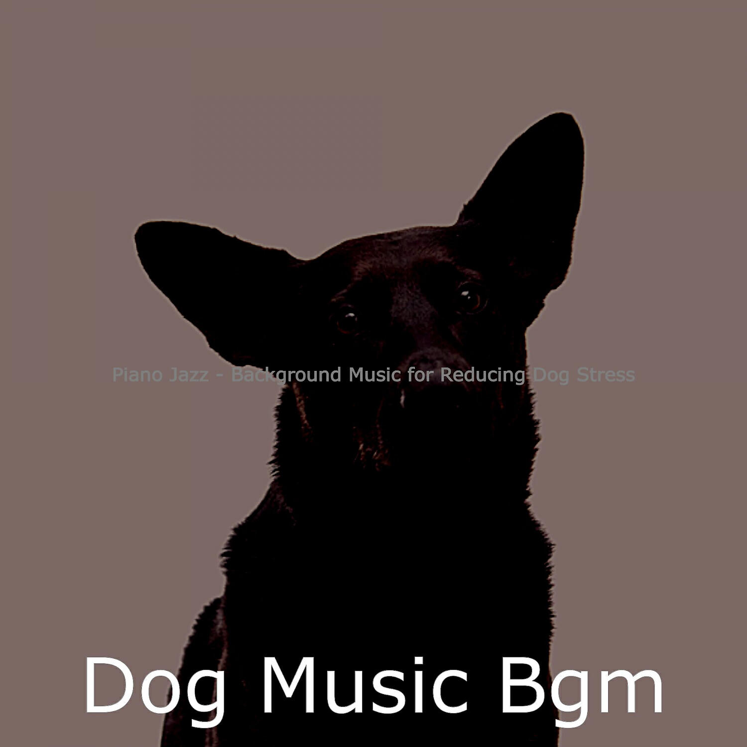 Dog Music Bgm - Casual Solo Piano Jazz - Vibe for Cute Dogs