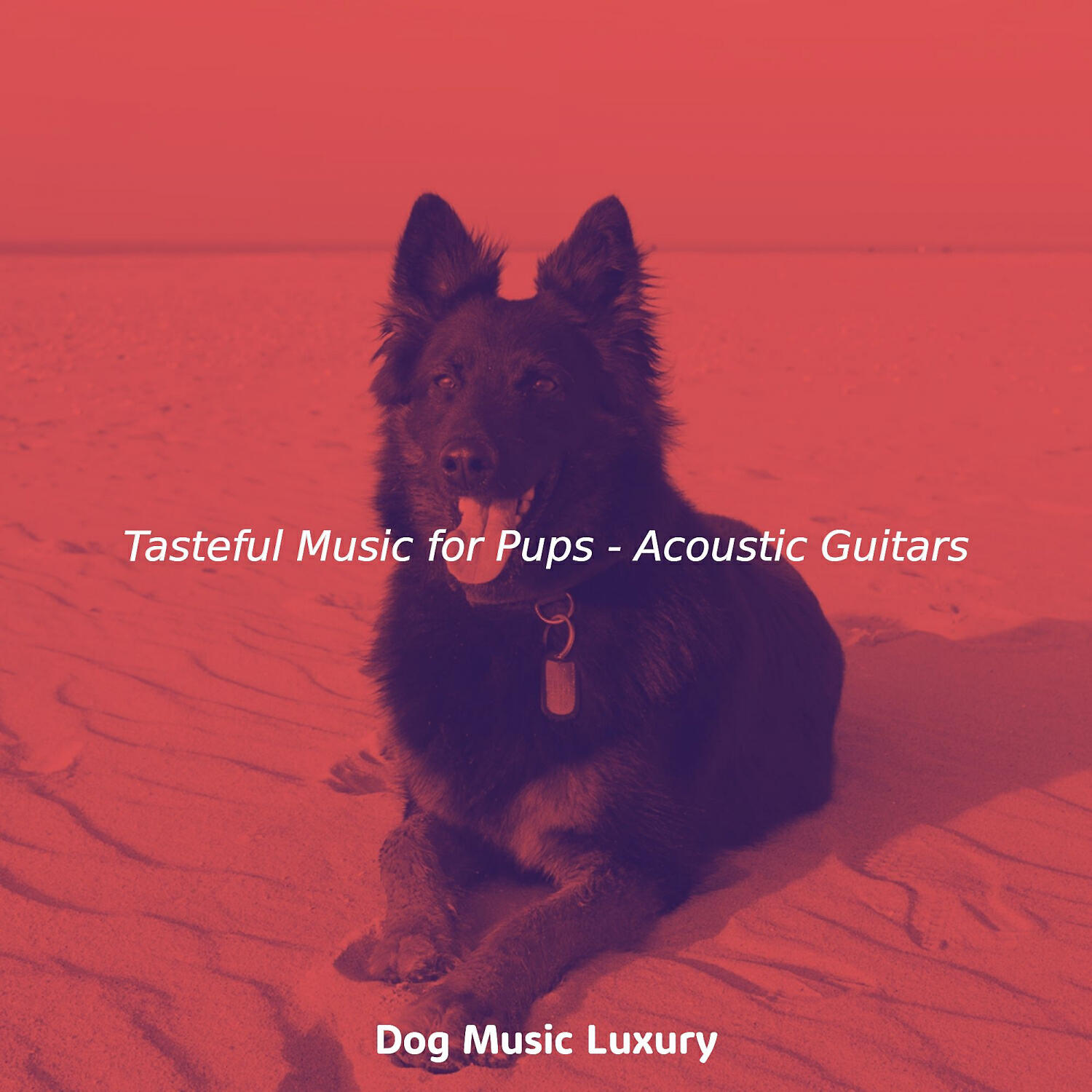 Dog Music Luxury - Calm Guitar Solos - Vibe for Pups
