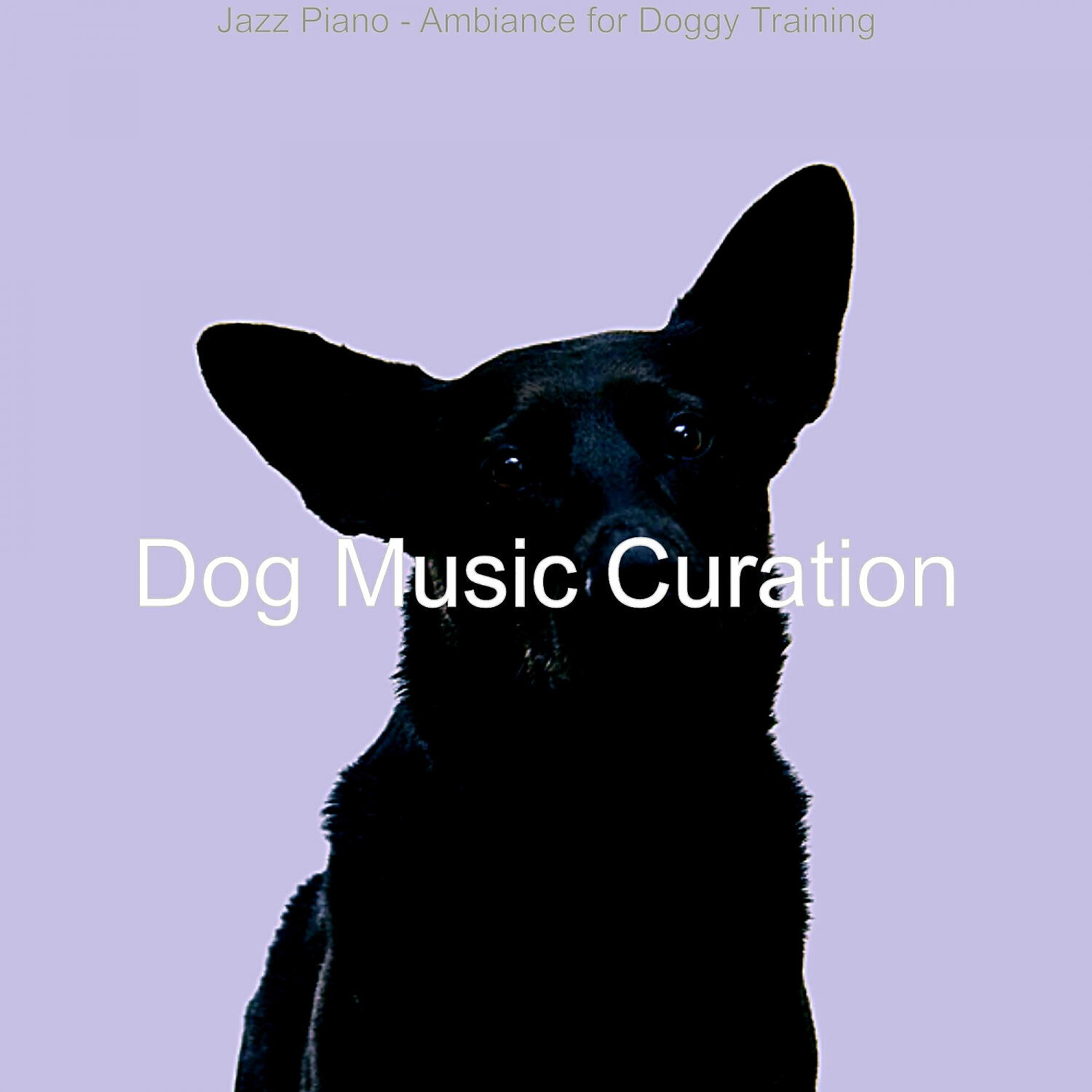 Dog Music Curation - Dashing Solo Piano Jazz - Vibe for Resting Dogs