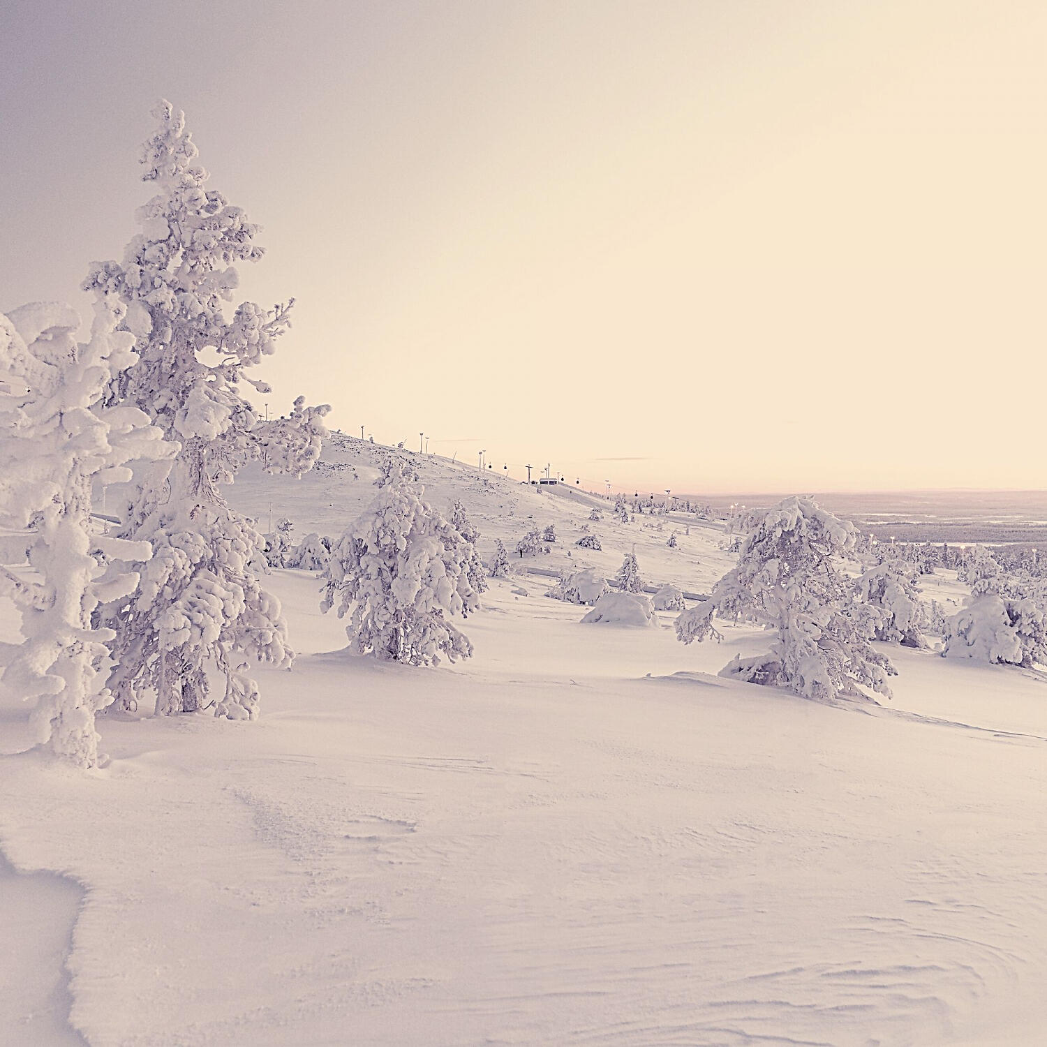 Brilliant Soft Jazz - Casual Ambience for Unwinding